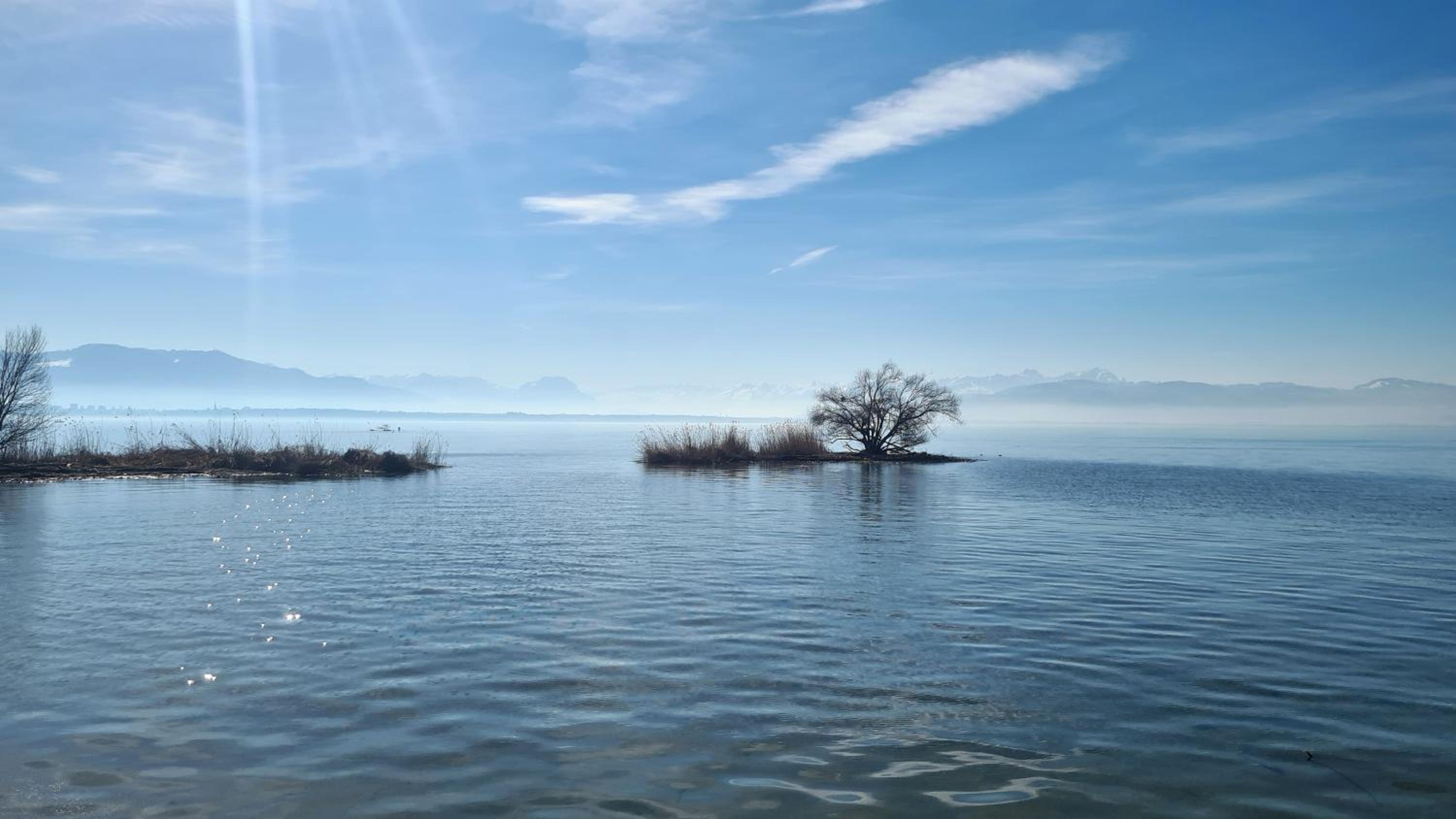 Blütenlodge Bodensee
