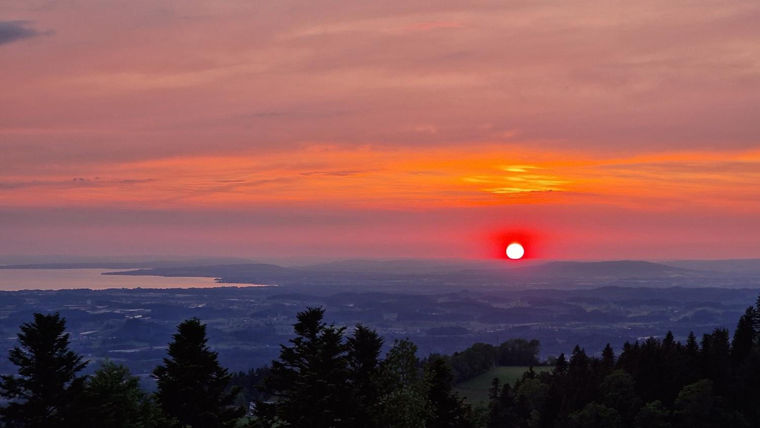 Blütenlodge Bodensee