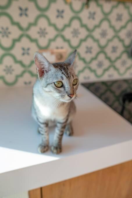 Villa Cat & Fish - Monthly 2 BR Tumbak Bayuh