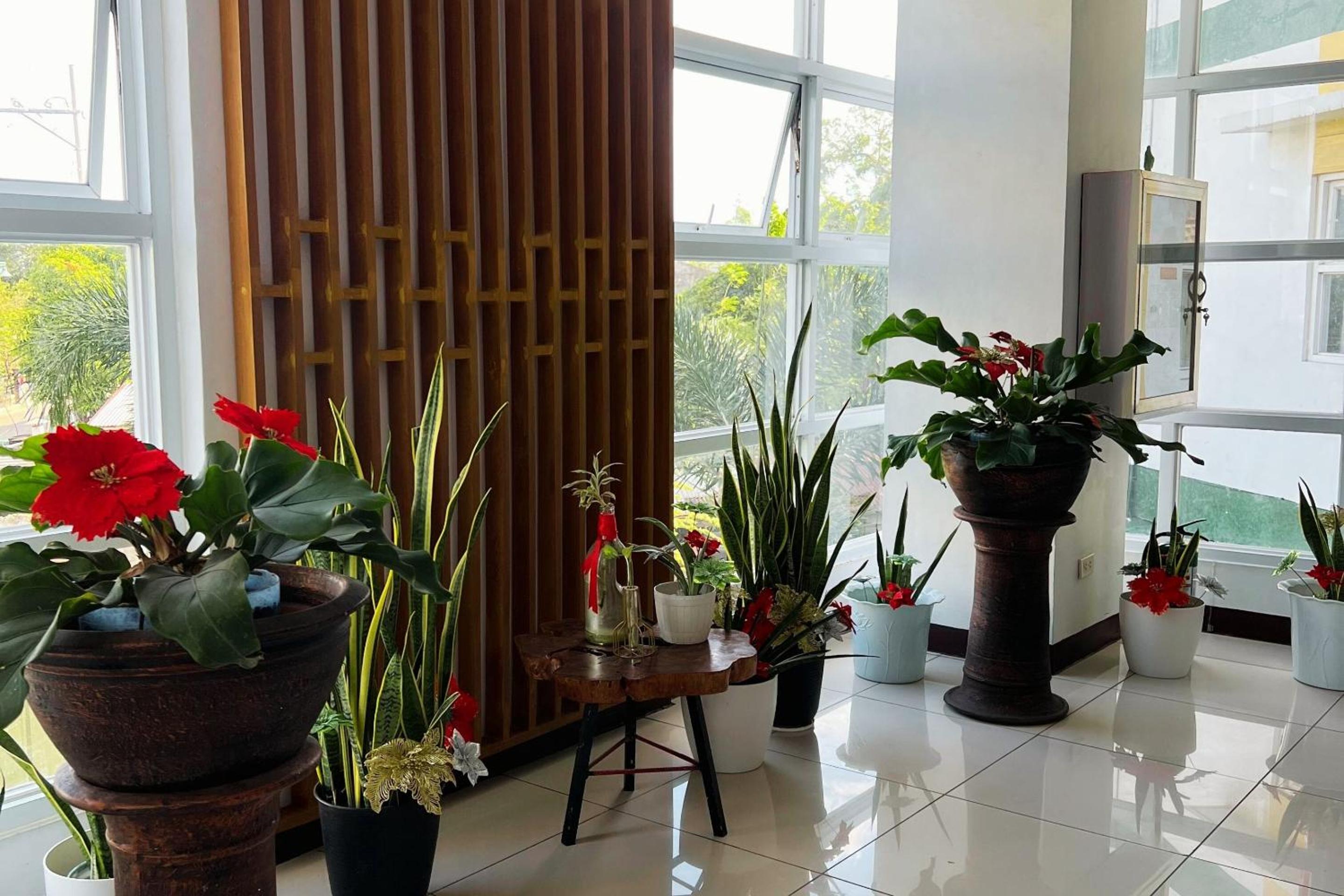 Guadalupe Inn Iloilo