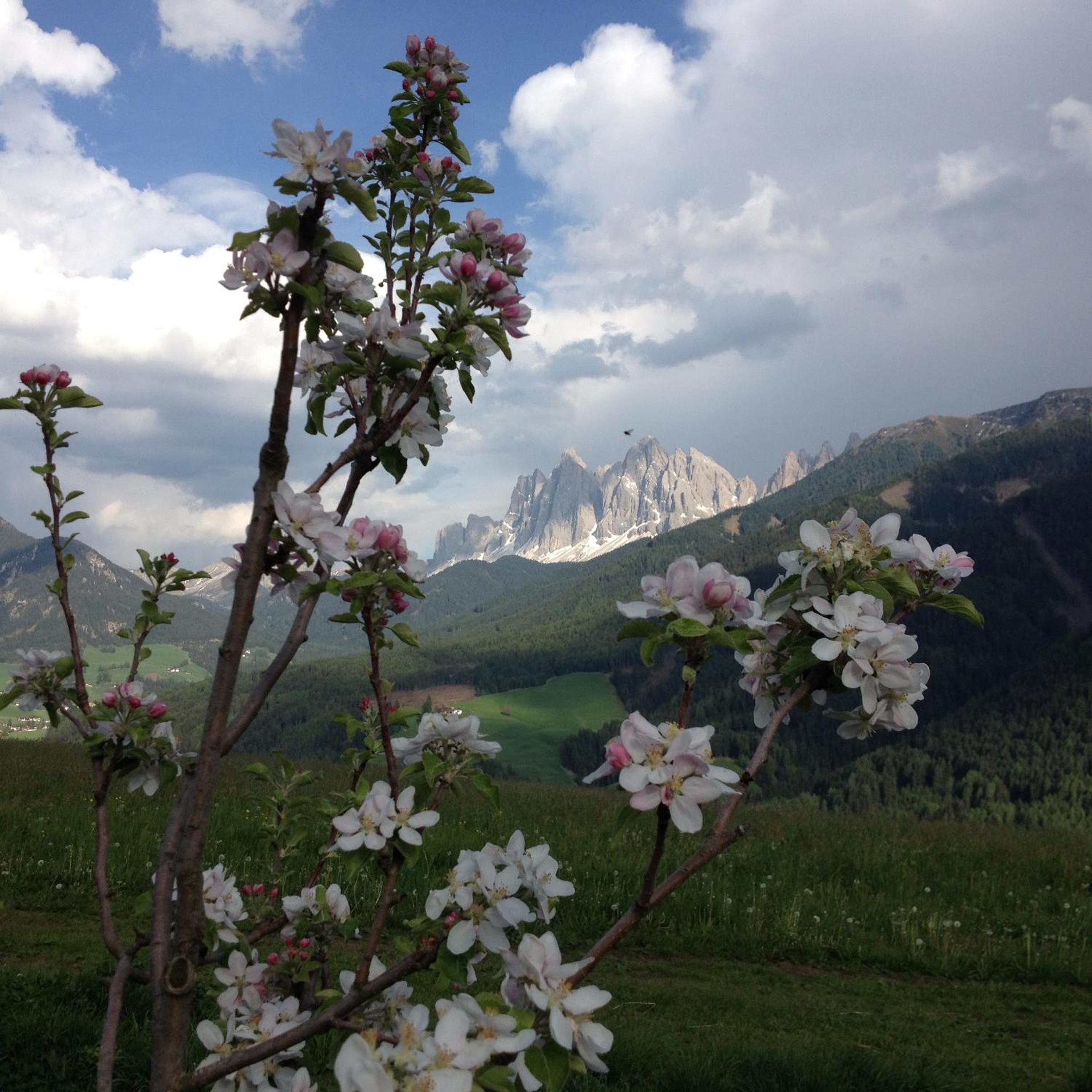 Photo 22