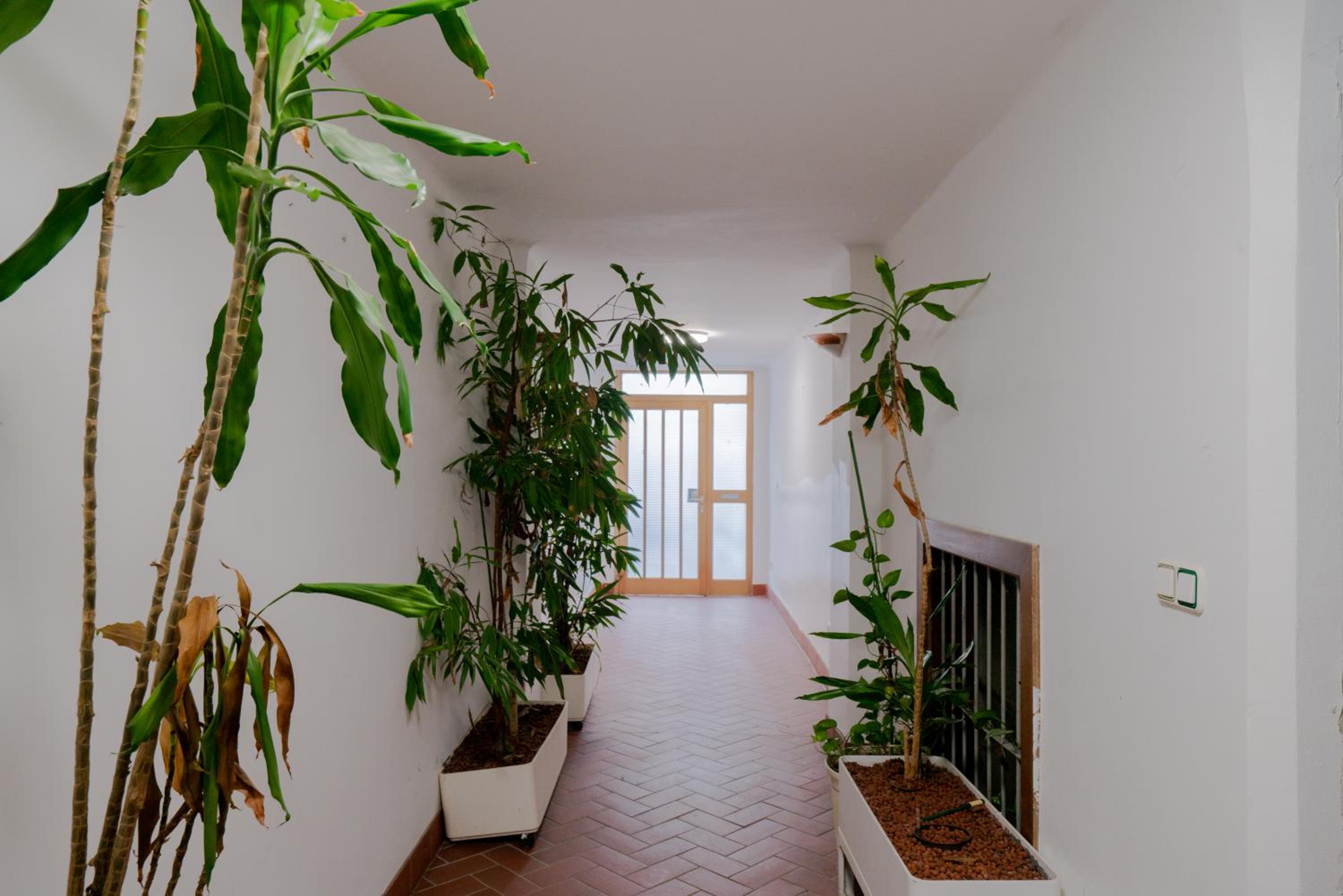 Bessemer - Charming Cottage with Garden