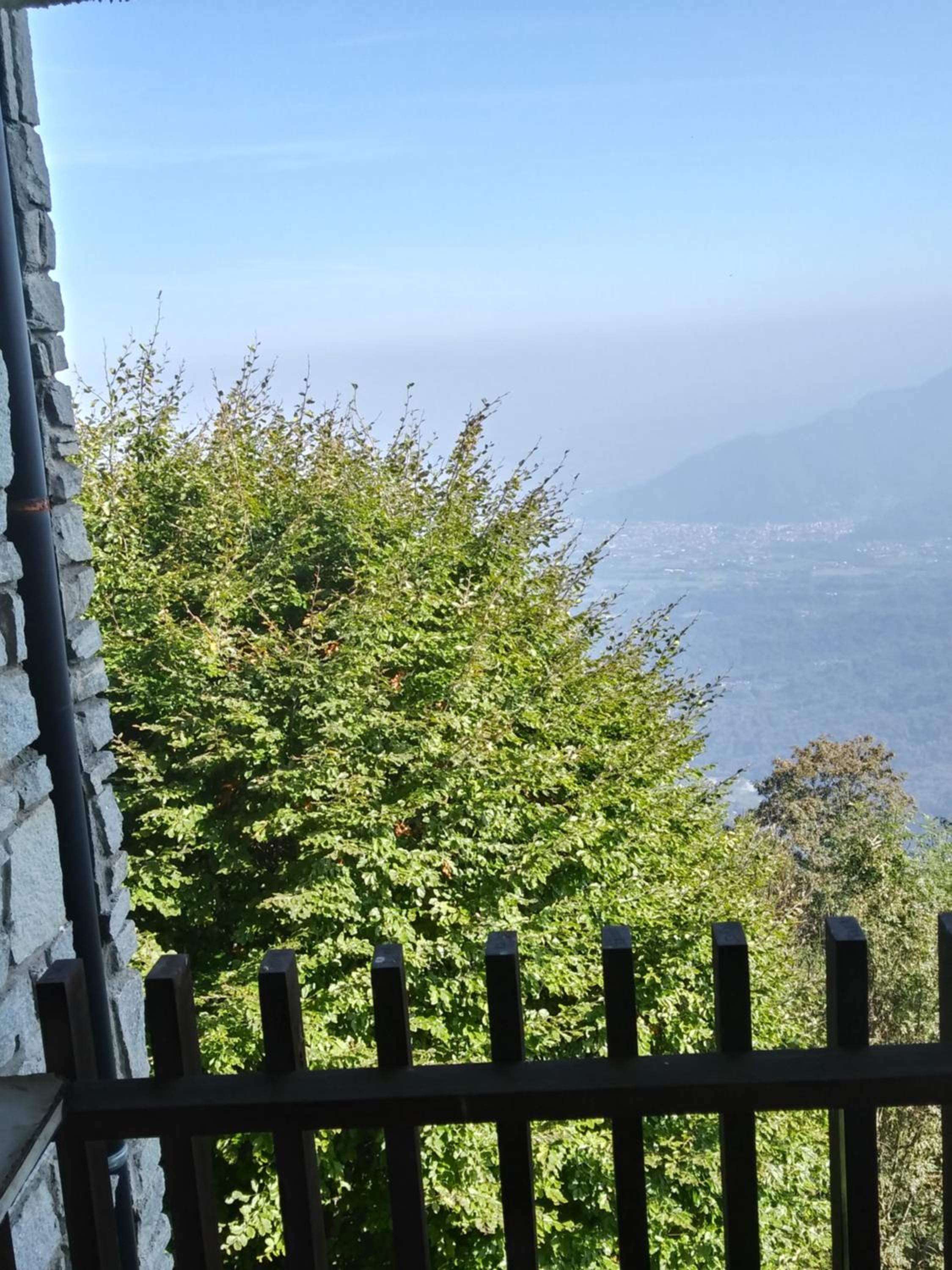 Panoramic Eagle