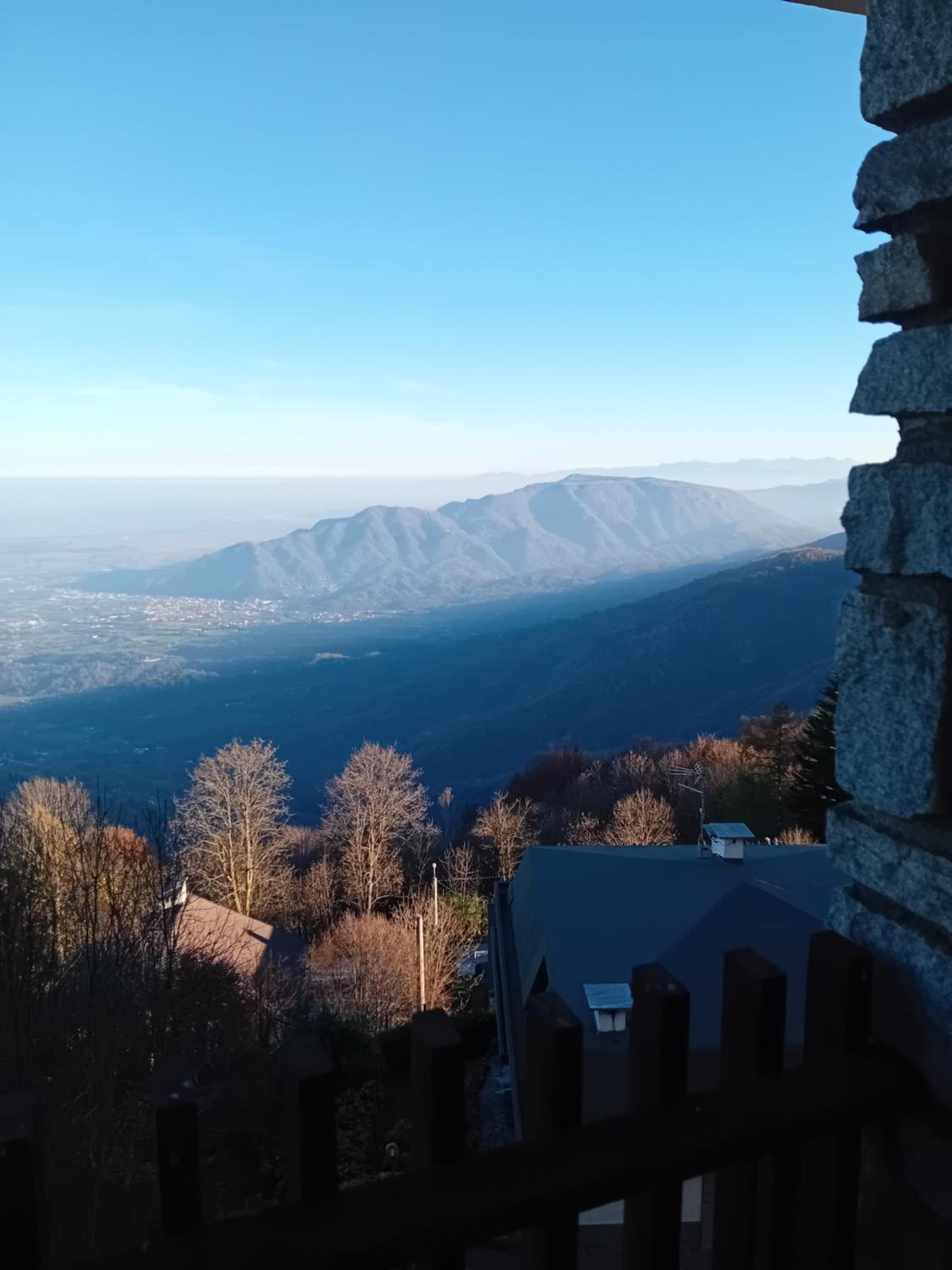 Panoramic Eagle