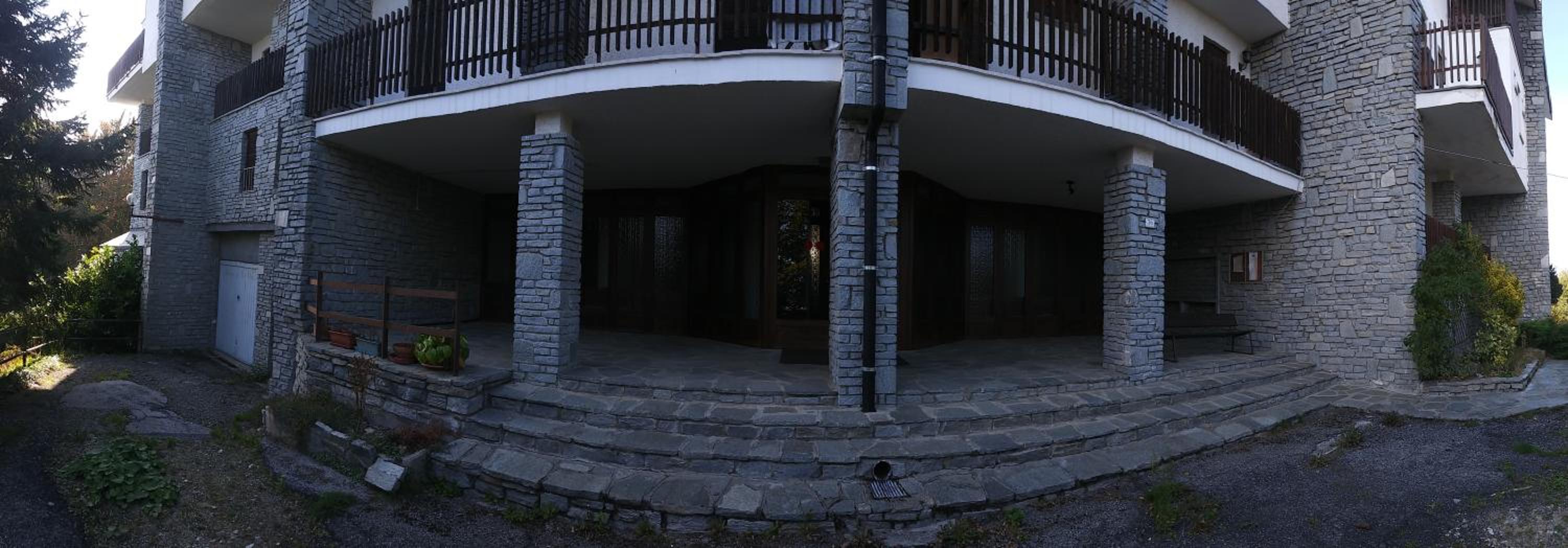 Panoramic Eagle