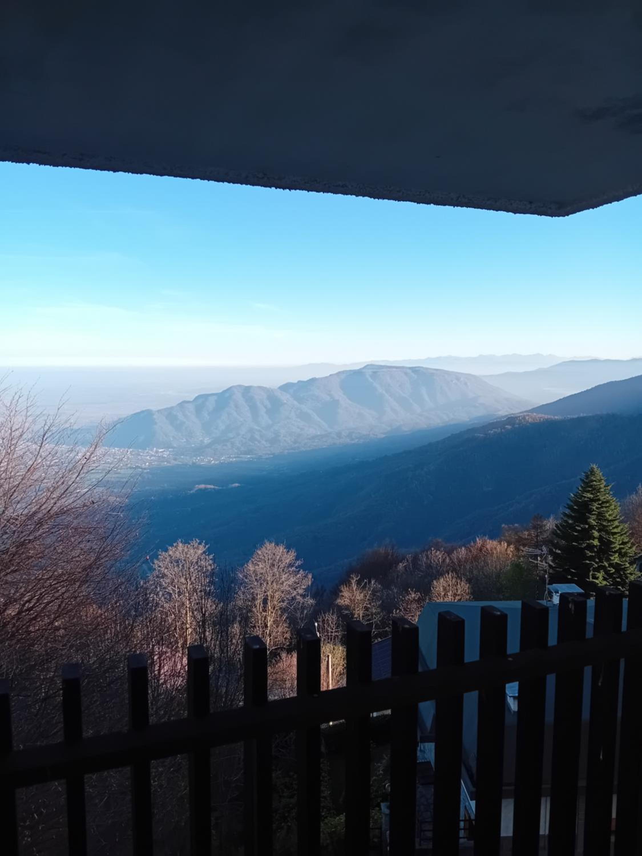 Panoramic Eagle