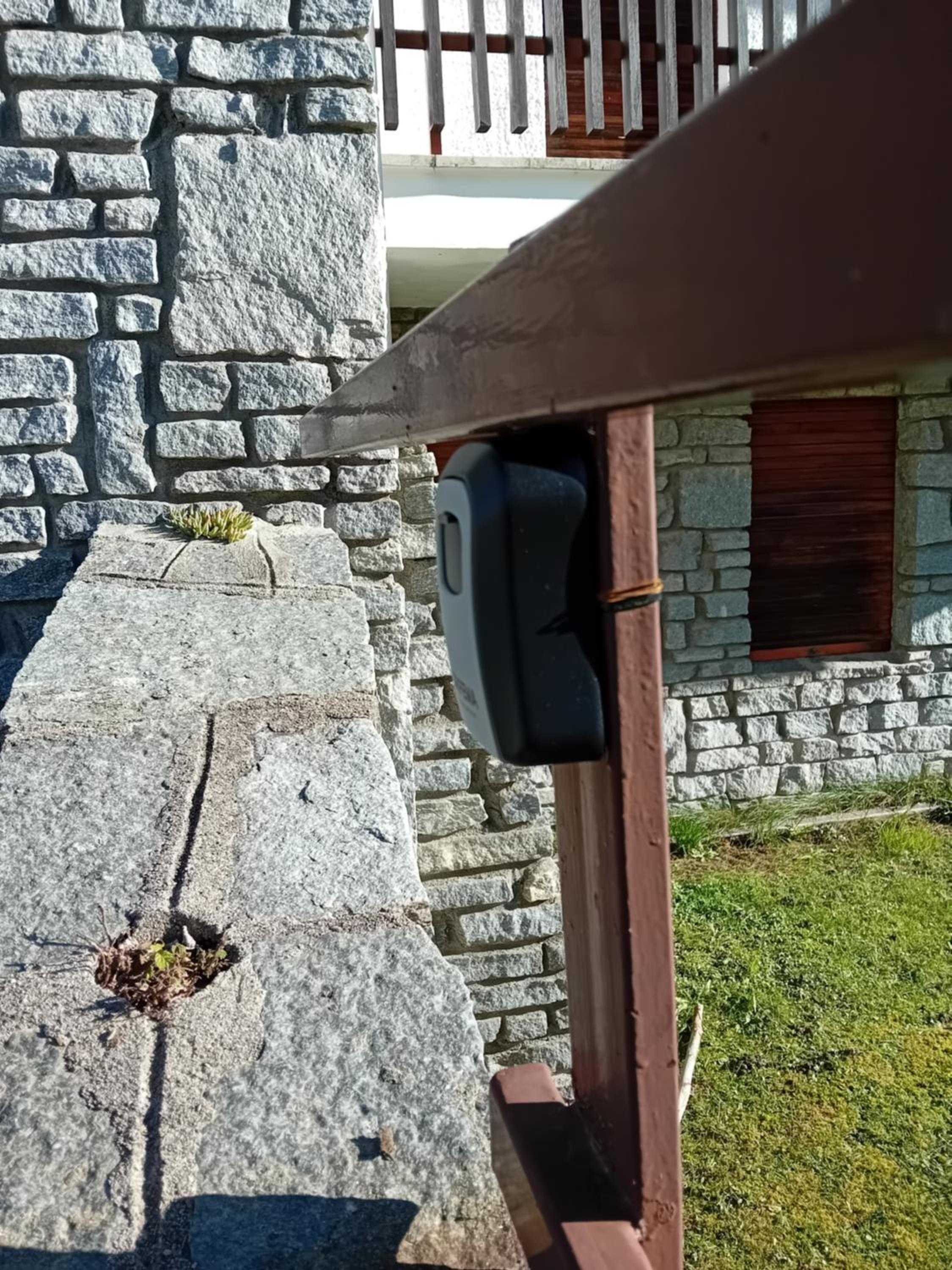 Panoramic Eagle