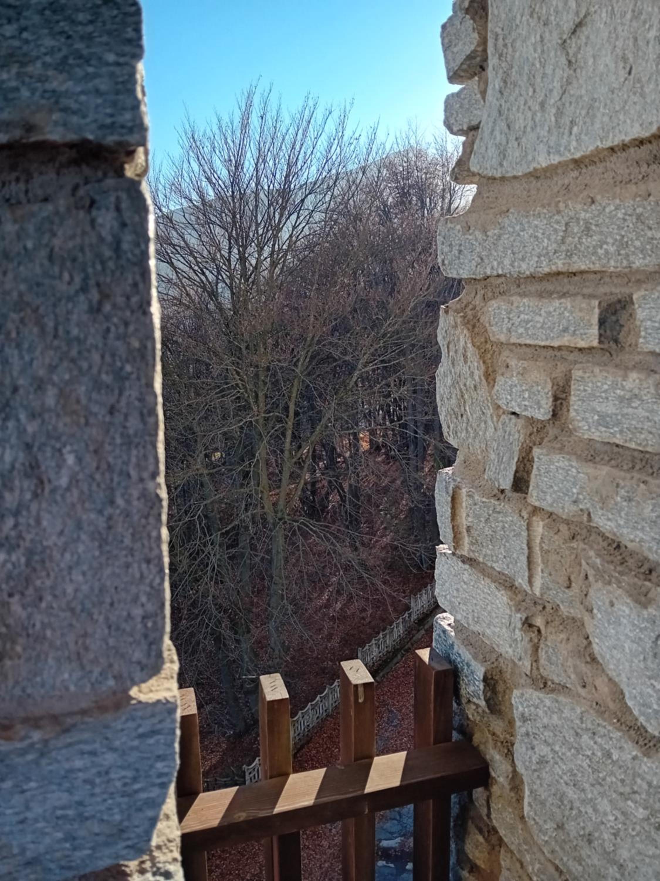 Panoramic Eagle