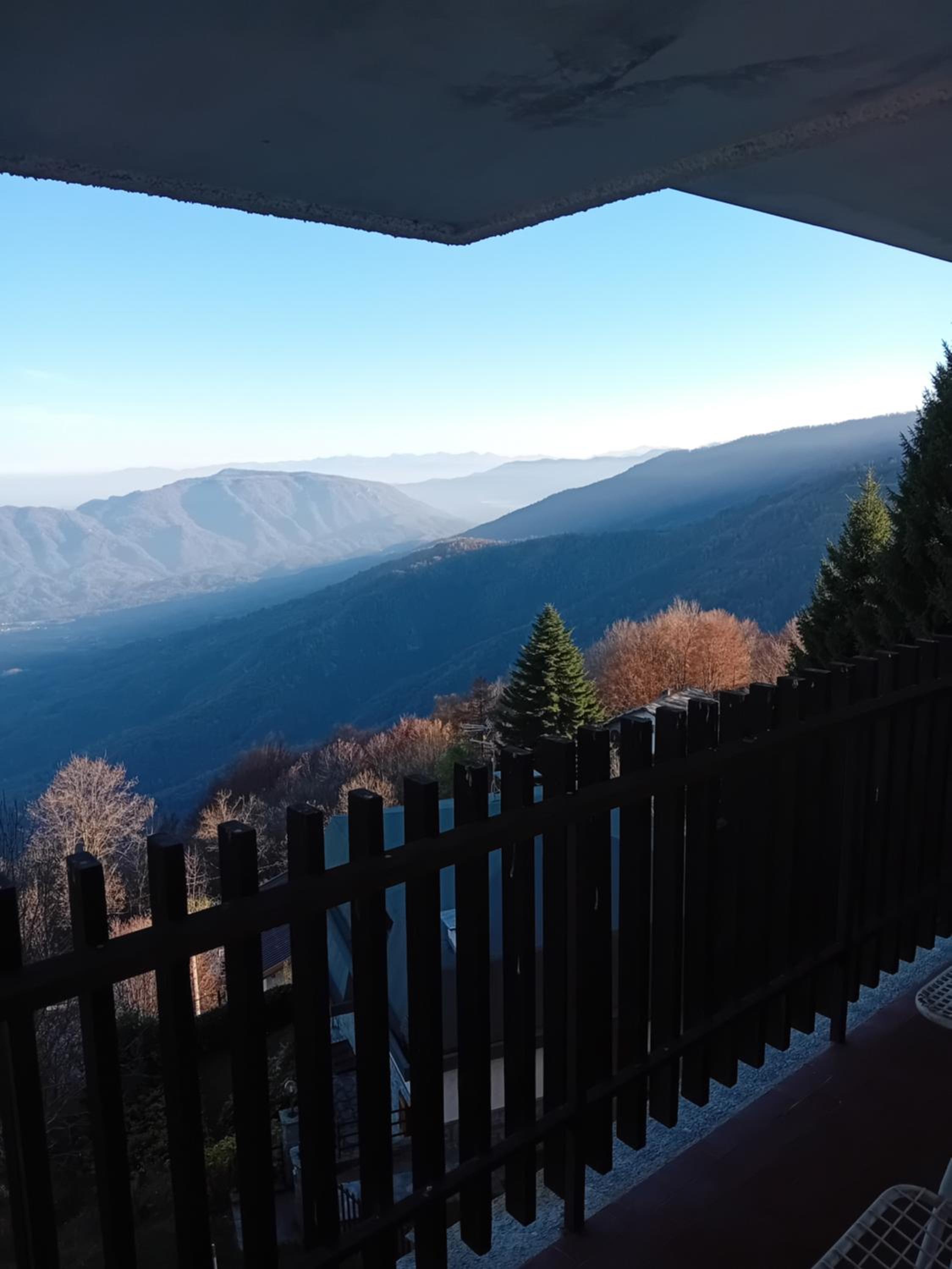 Panoramic Eagle