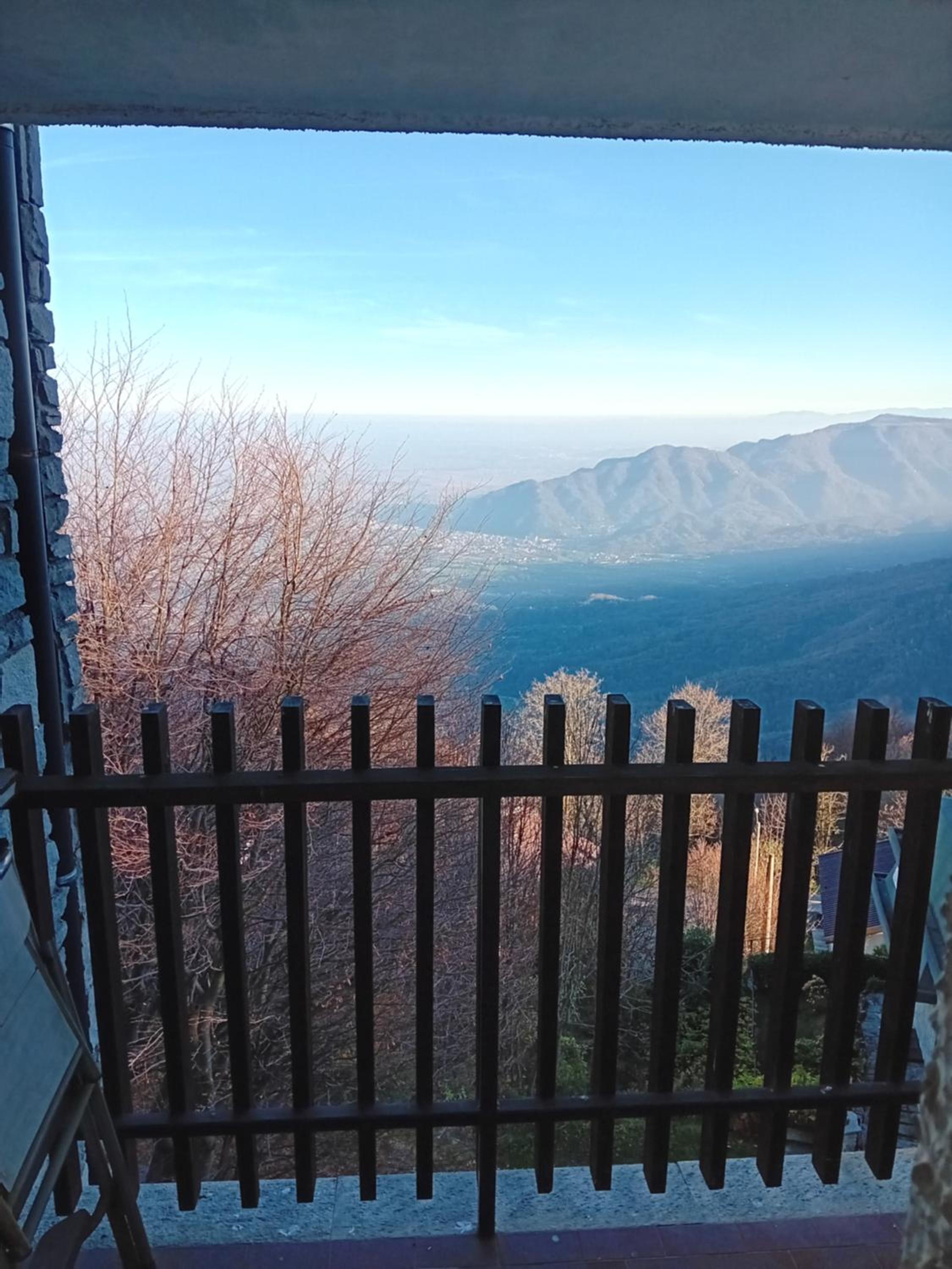 Panoramic Eagle
