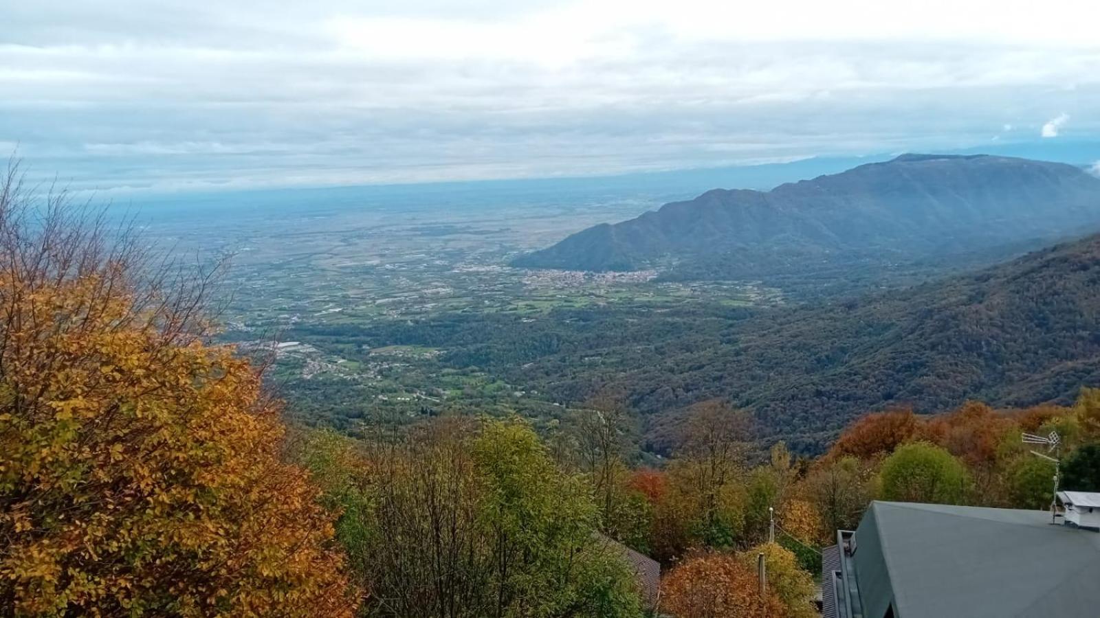 Panoramic Eagle