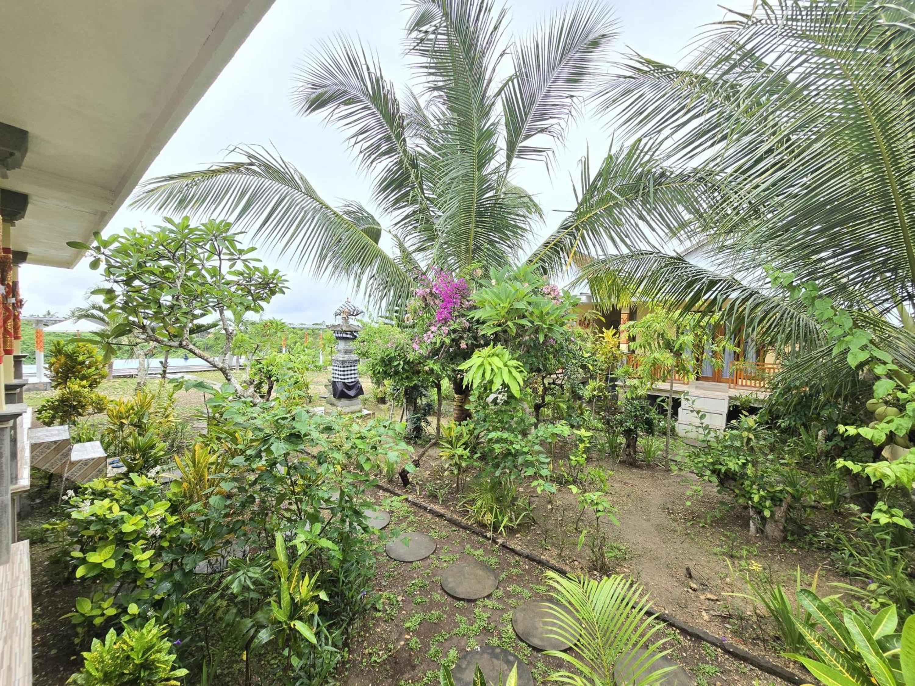 Kelingking BMS Penida Hills Villa