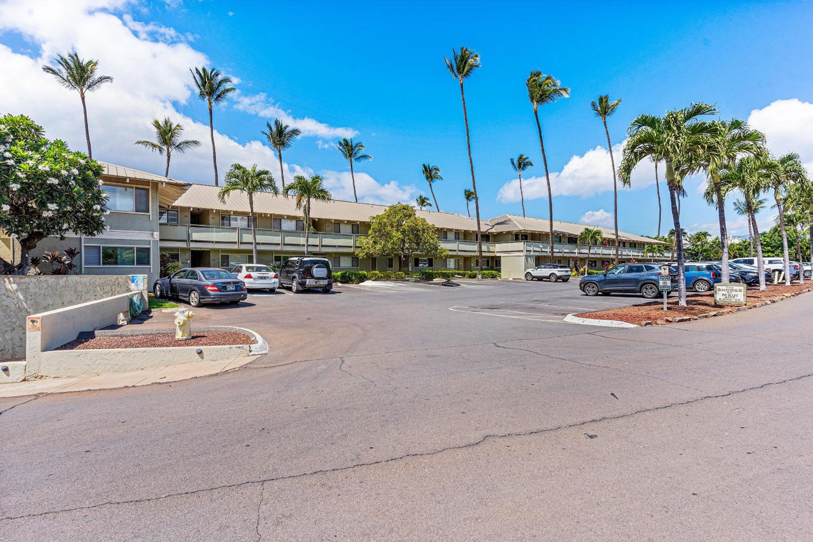 Shores of Maui 215 - Dramatic Ocean Views, Steps to the Beach, Renovated, AC!