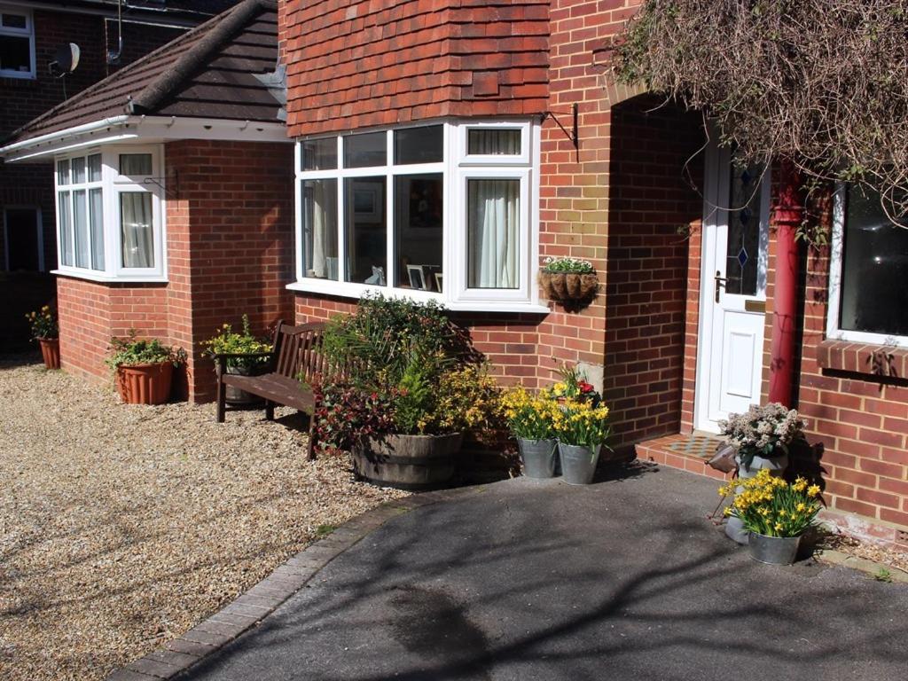 Honey Lodge, photo 2
