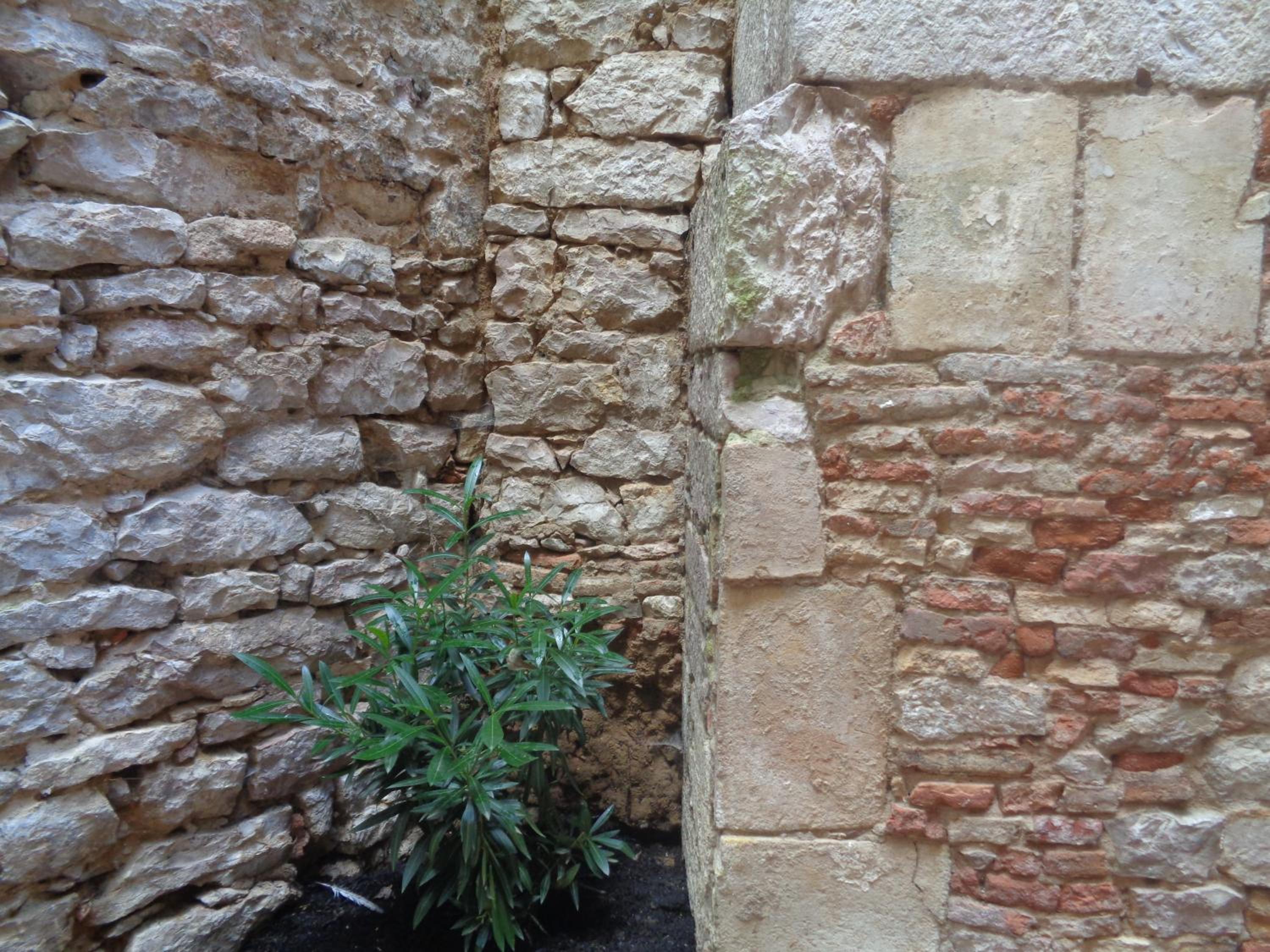Photo 68