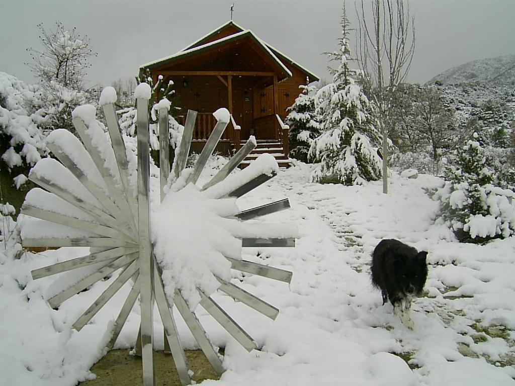 Photo 26