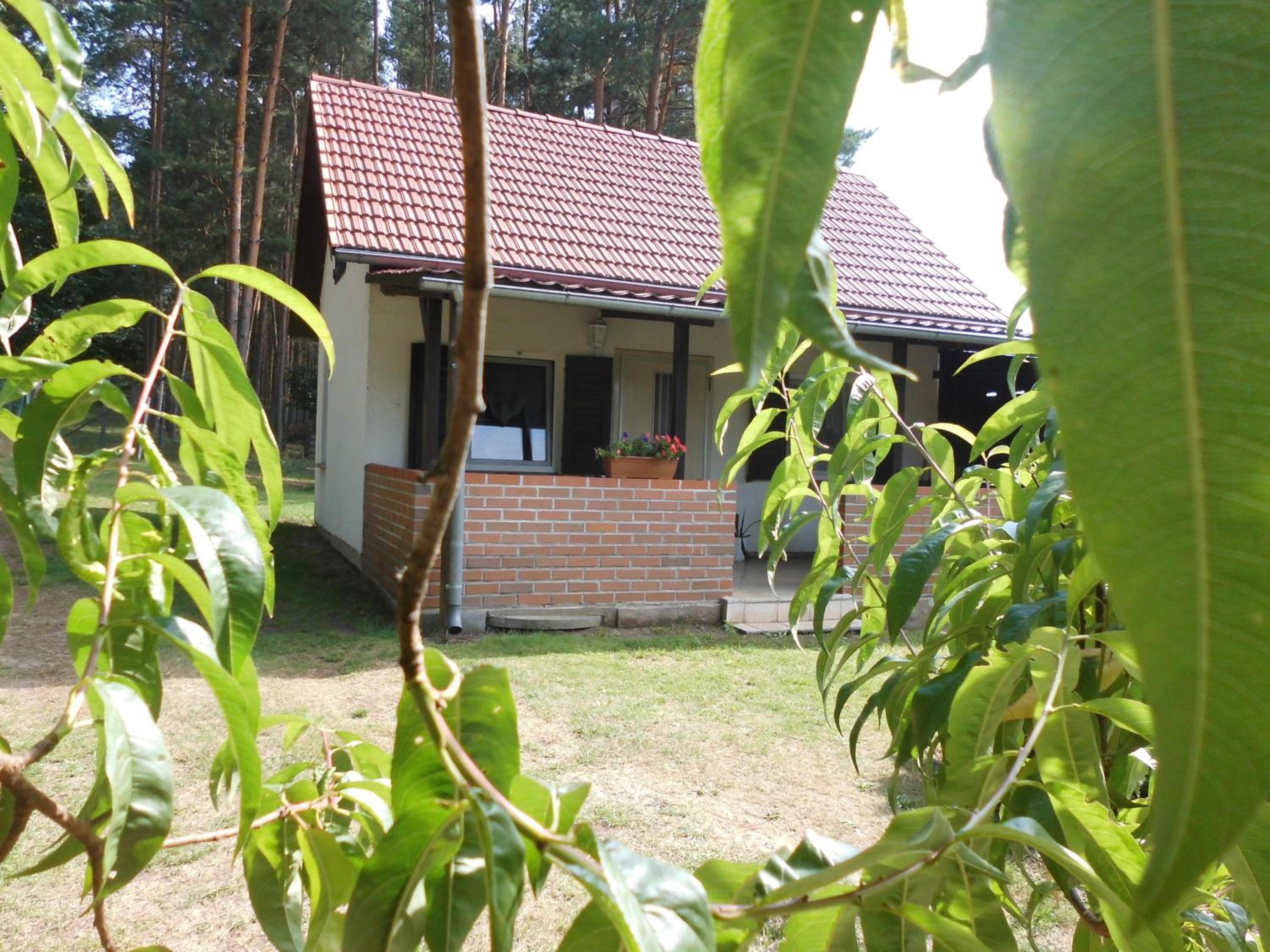Photo 27