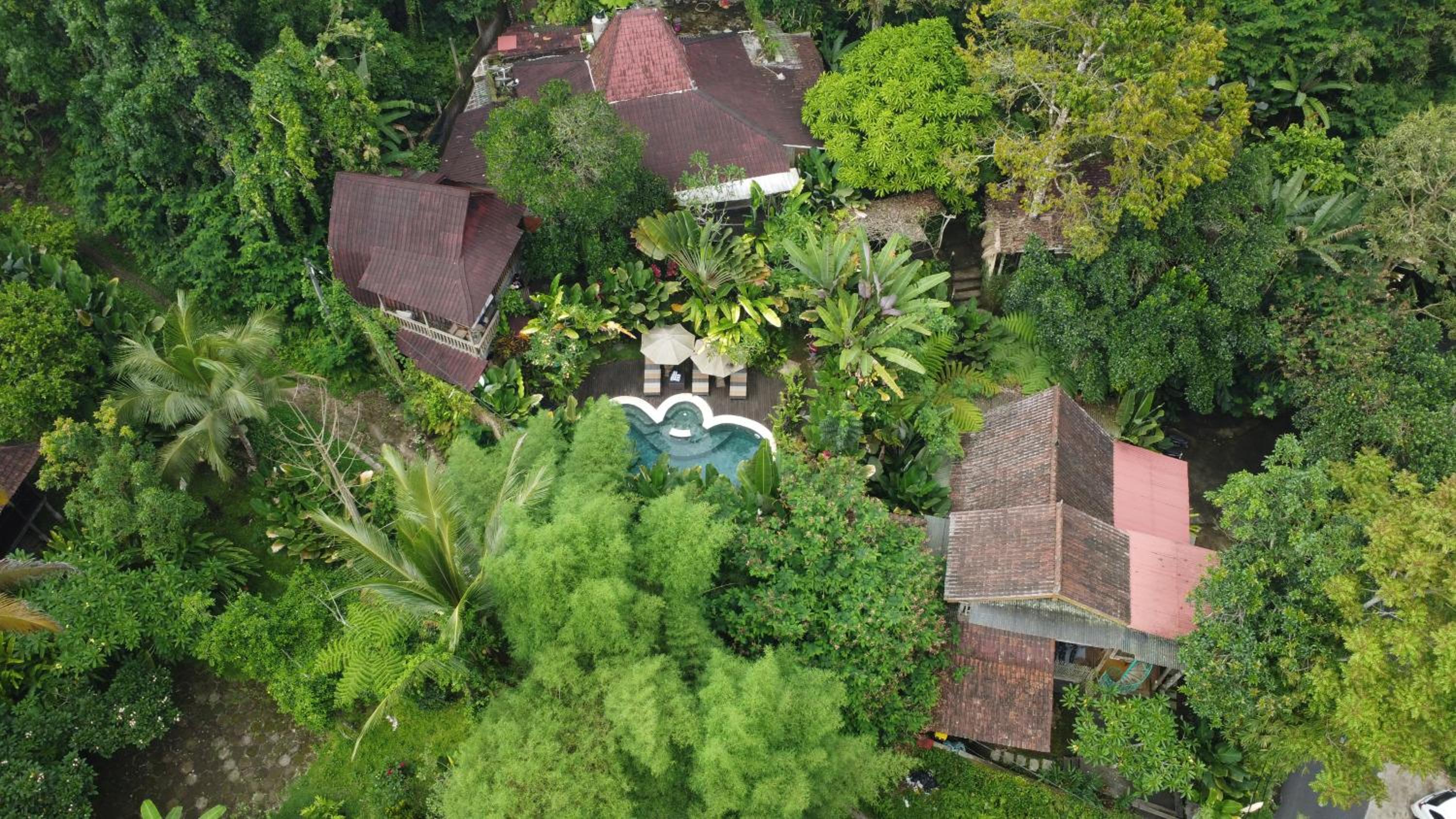 Umah Tis Sebatu view 2