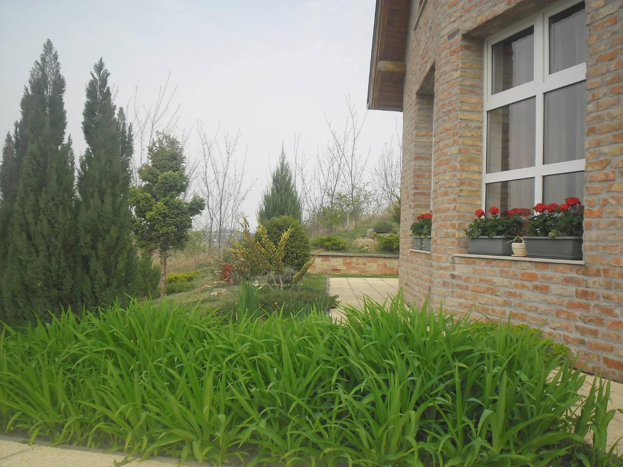 Photo 37
