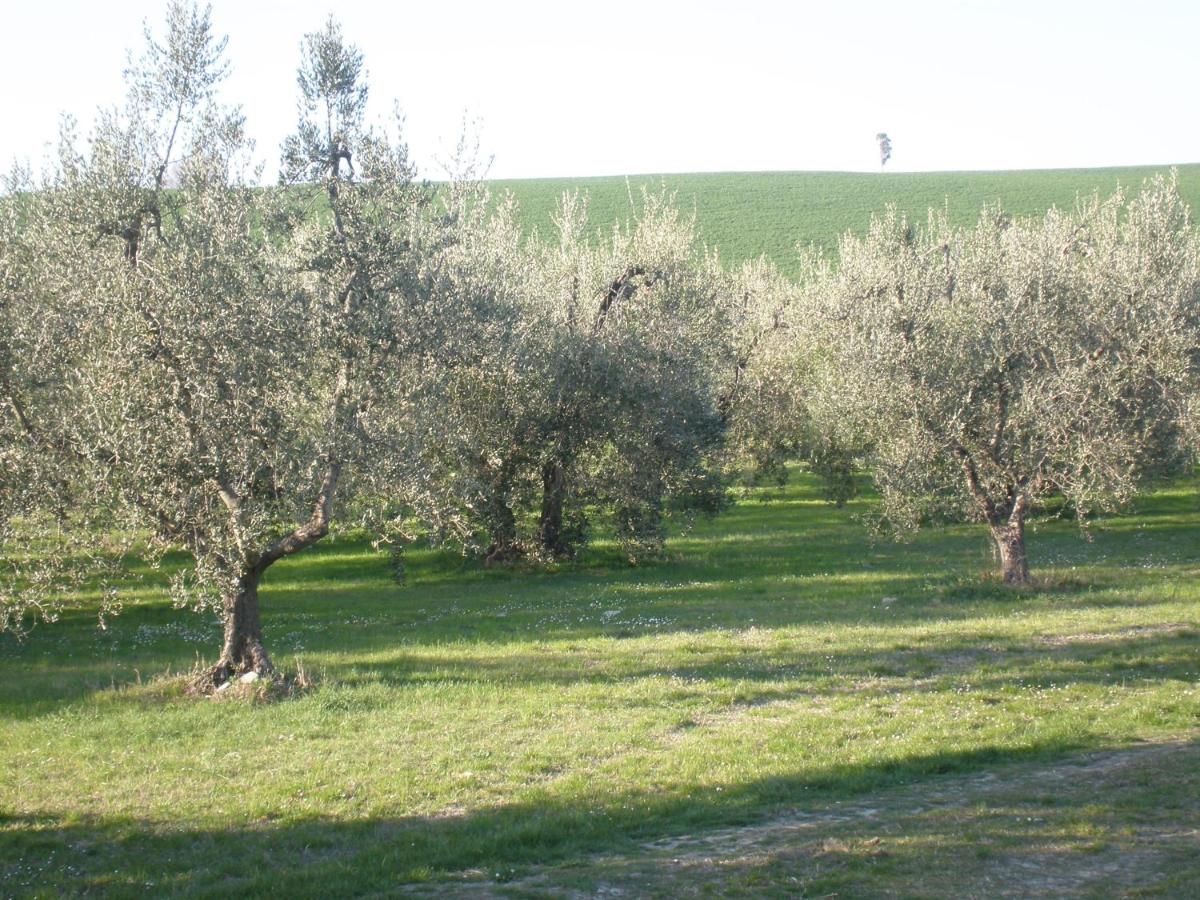 Photo 52