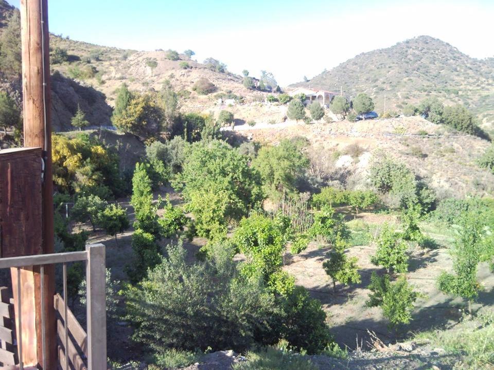 Evie's House Arakapas