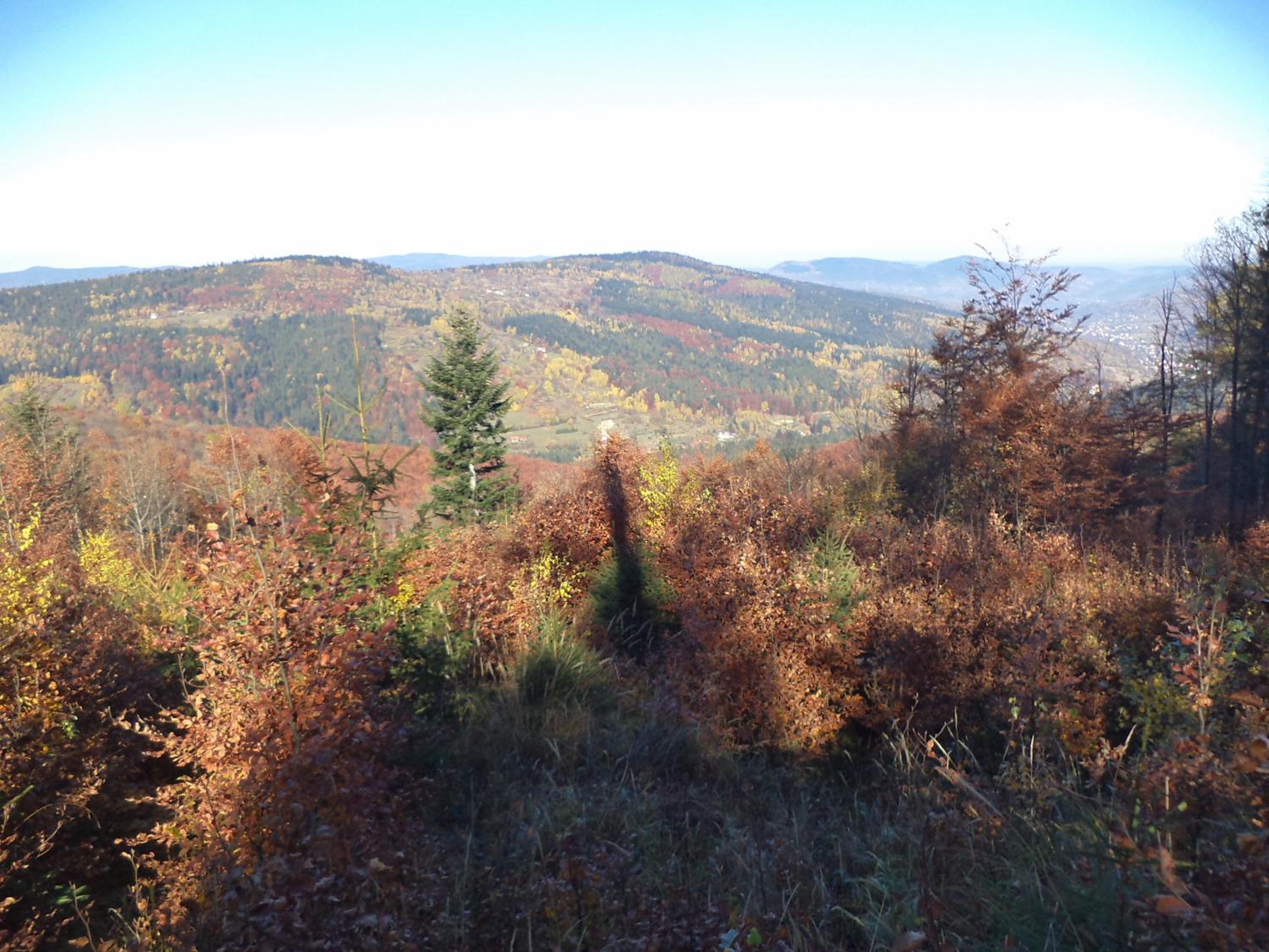 Kolędówka Rest, photo 65