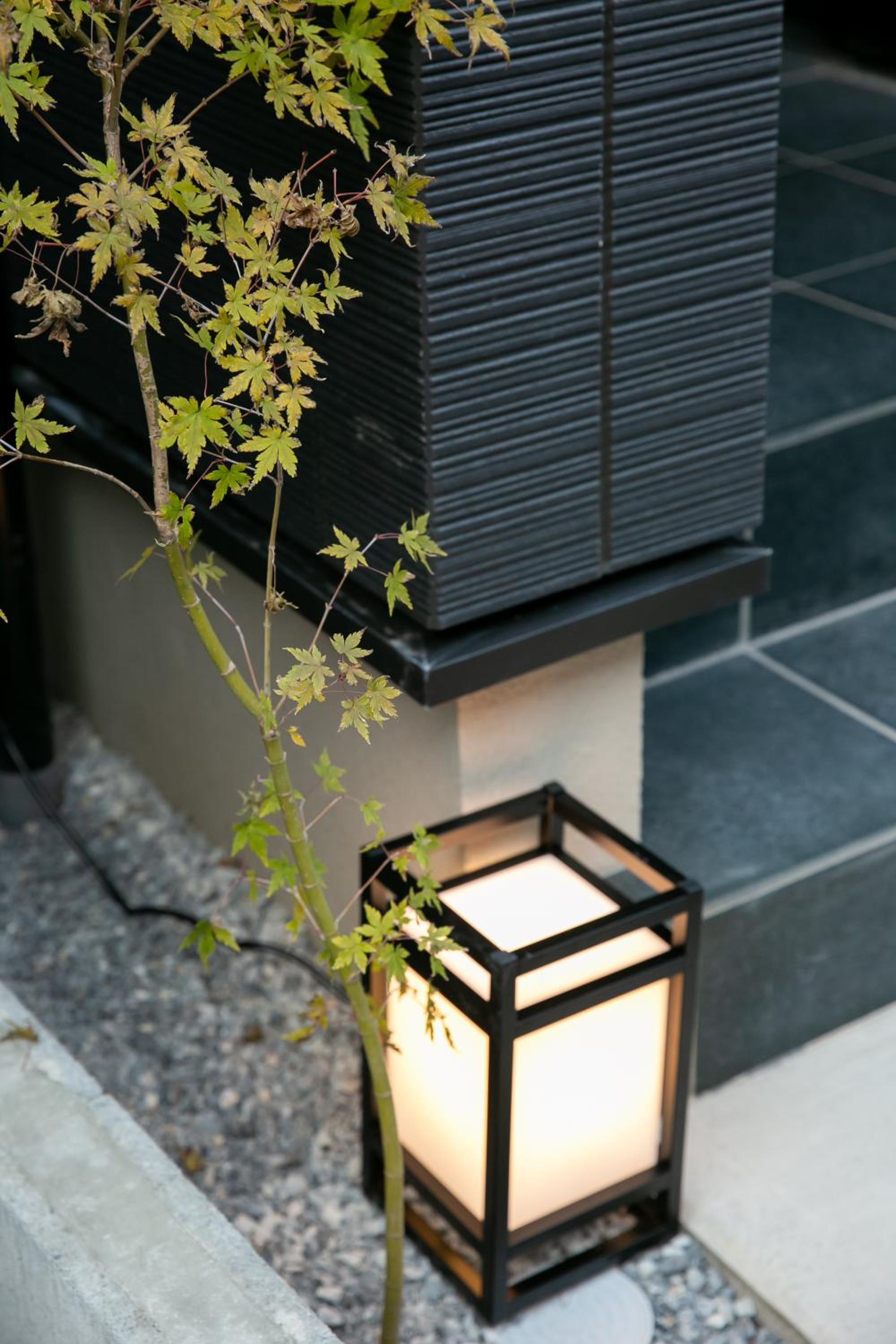 藍-Ai-ASAKUSA