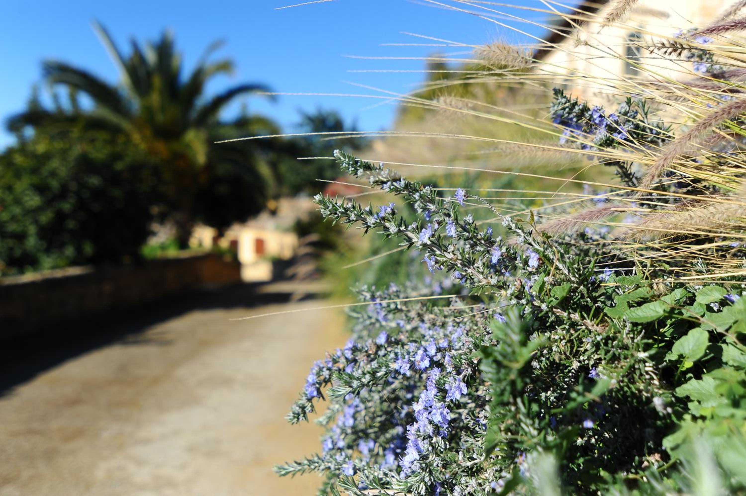 Villa La Lumia B&B Suites & Apartments
