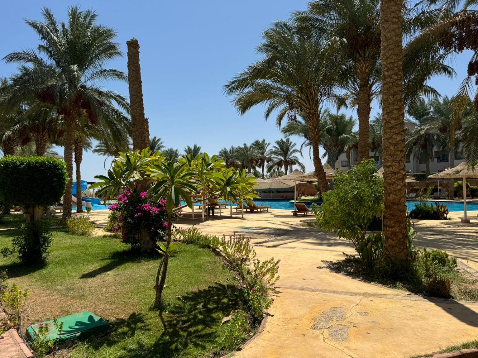 Cozy Sunny Studio with Pool View - Sahl Hasheesh