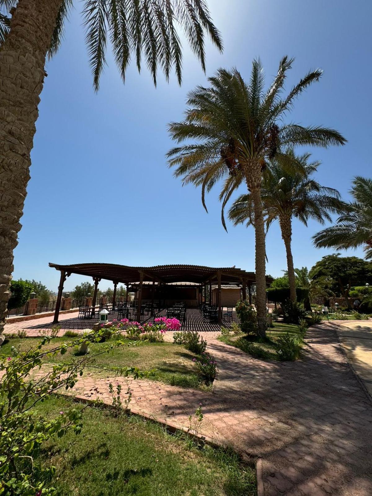 Cozy Sunny Studio with Pool View - Sahl Hasheesh