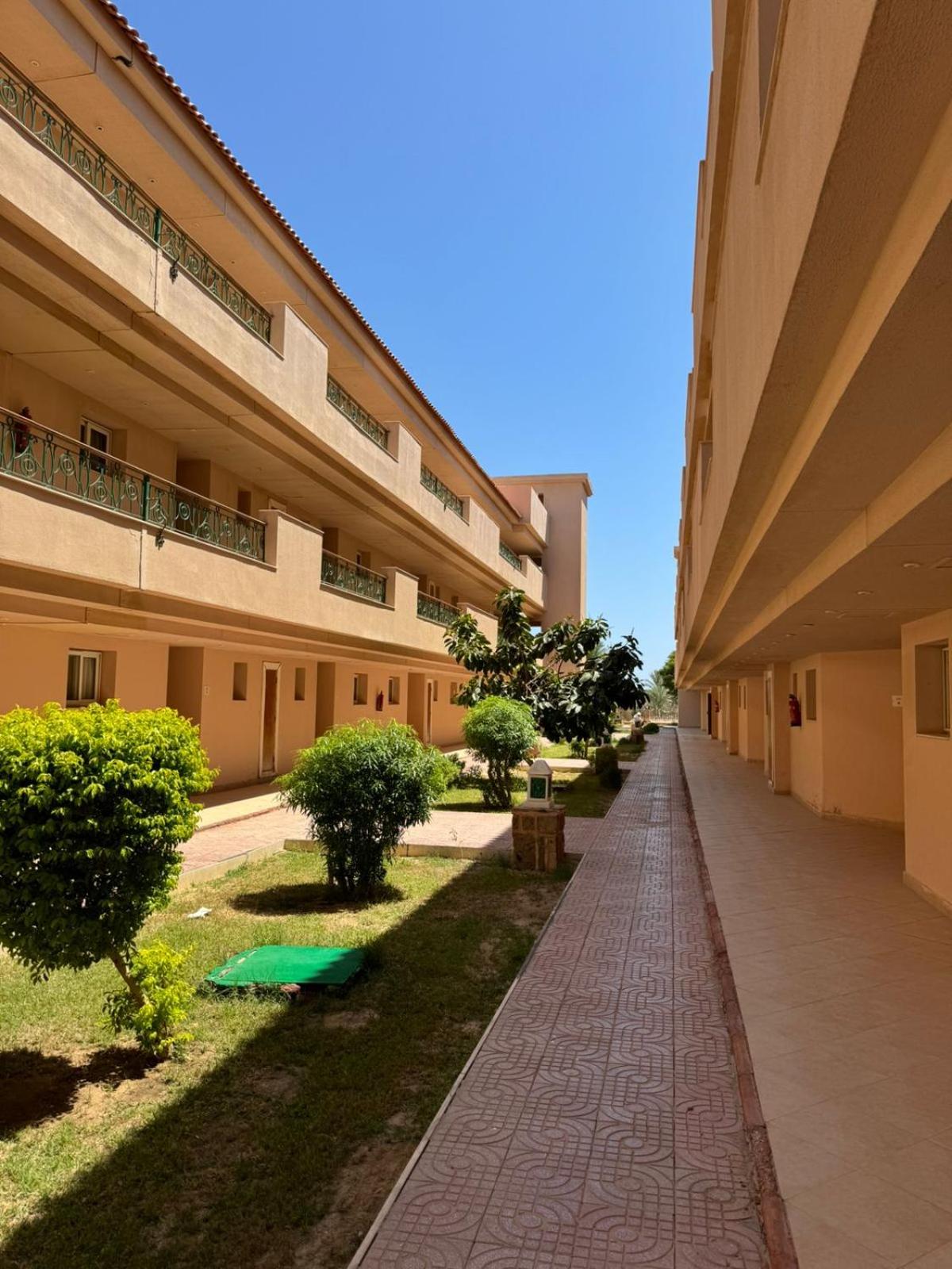 Cozy Sunny Studio with Pool View - Sahl Hasheesh
