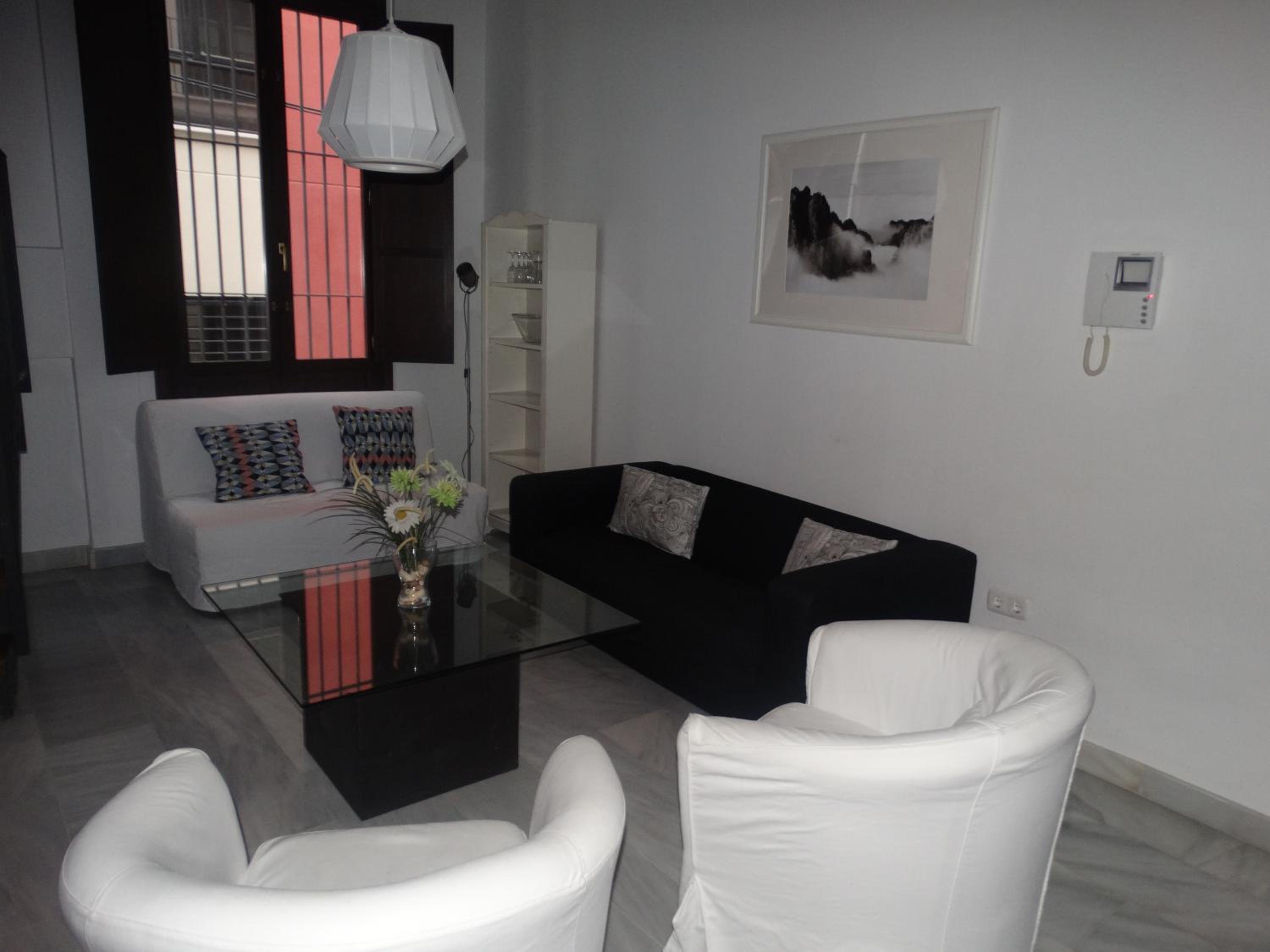 Málaga Apartamentos - Jinetes, 13
