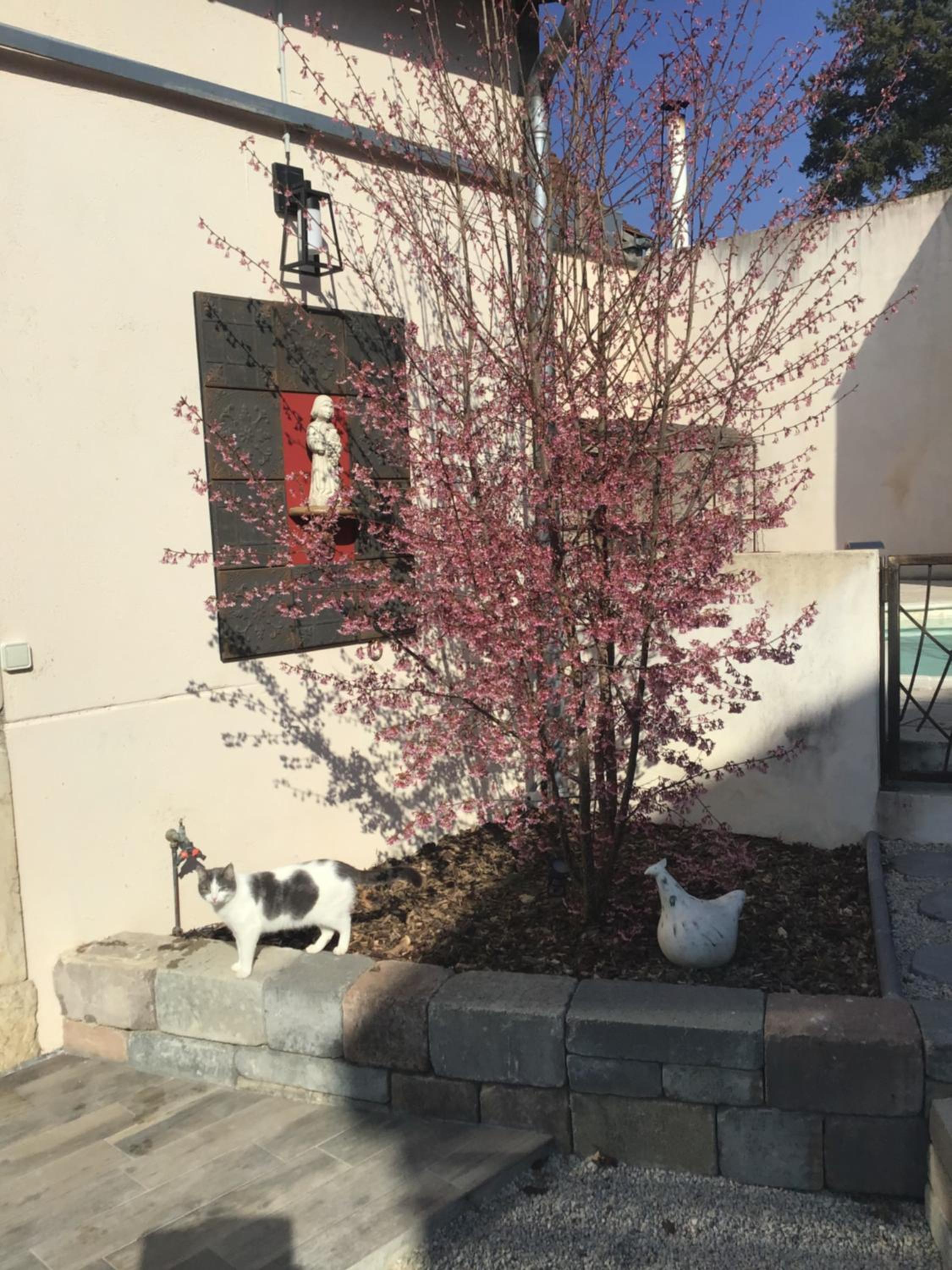 Ma Maison, photo 14