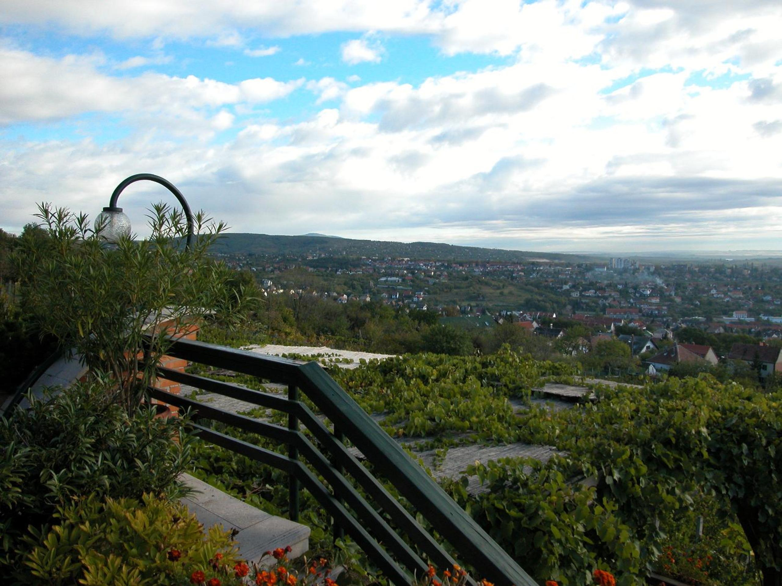 Bagolyvár Panzió, photo 37