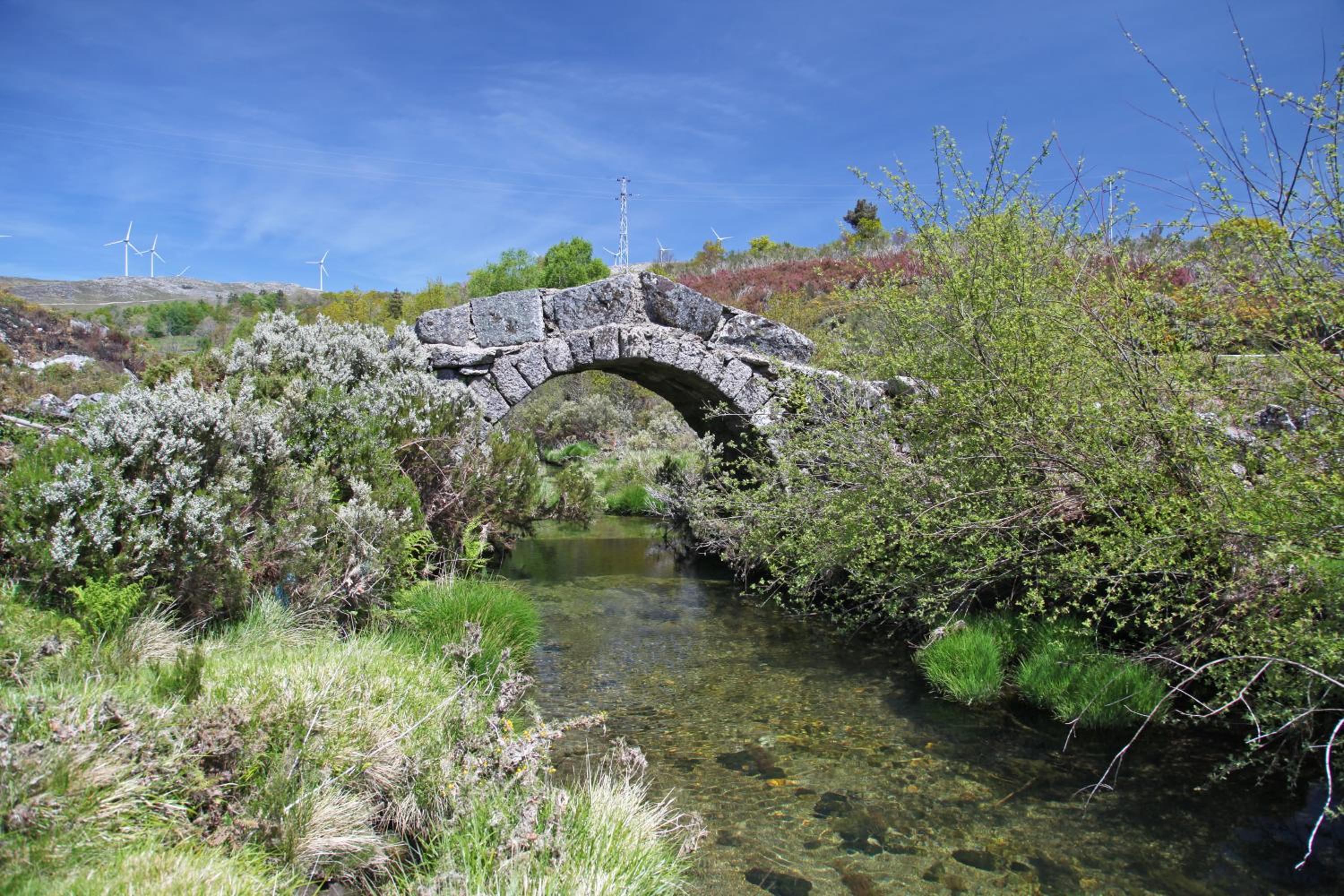 Photo 44