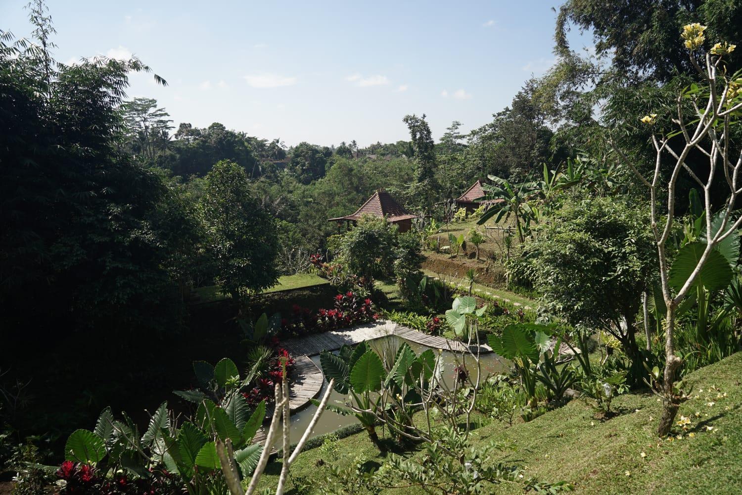 Kubu Damai Guest House