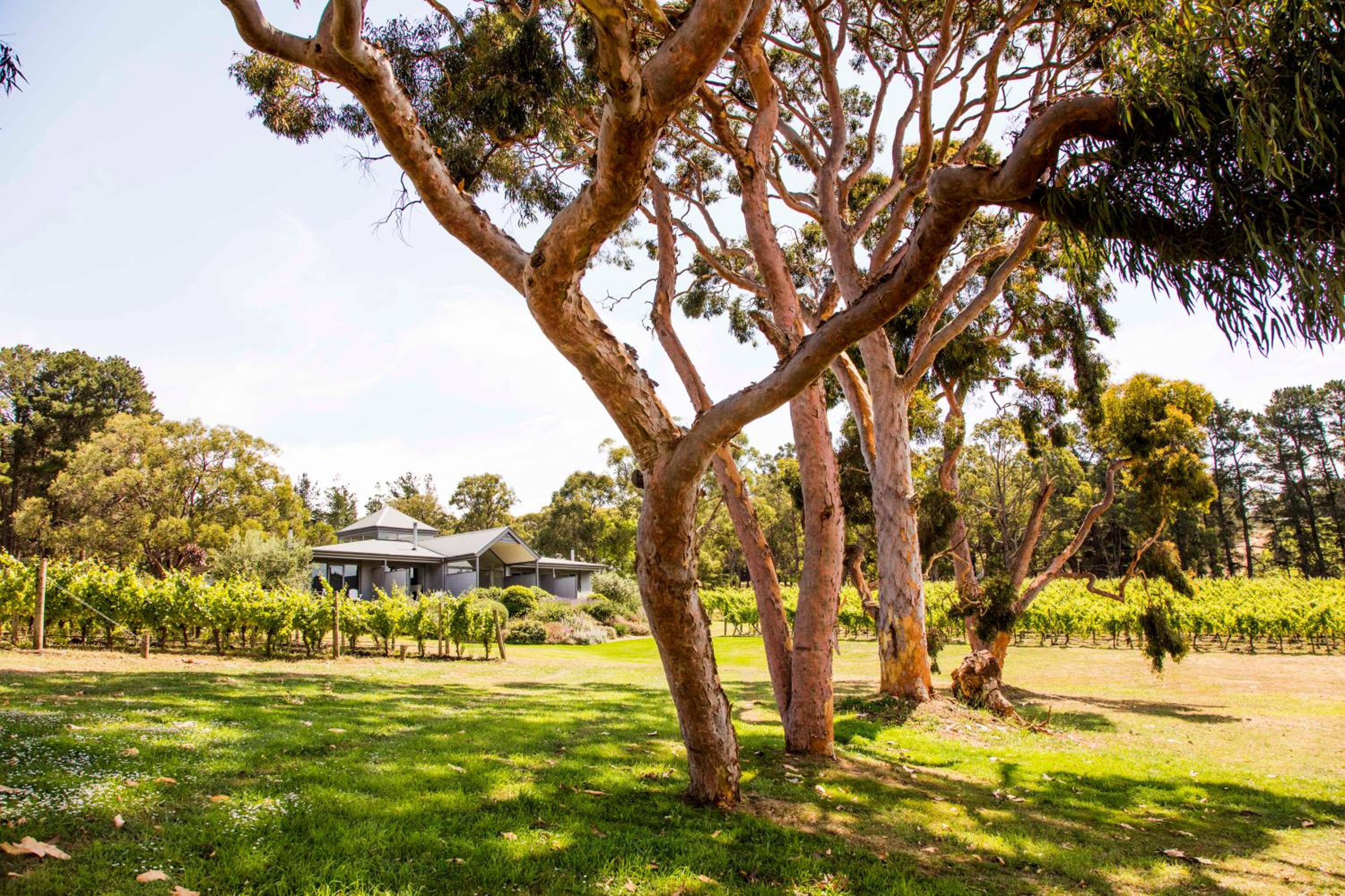 Polperro Villas