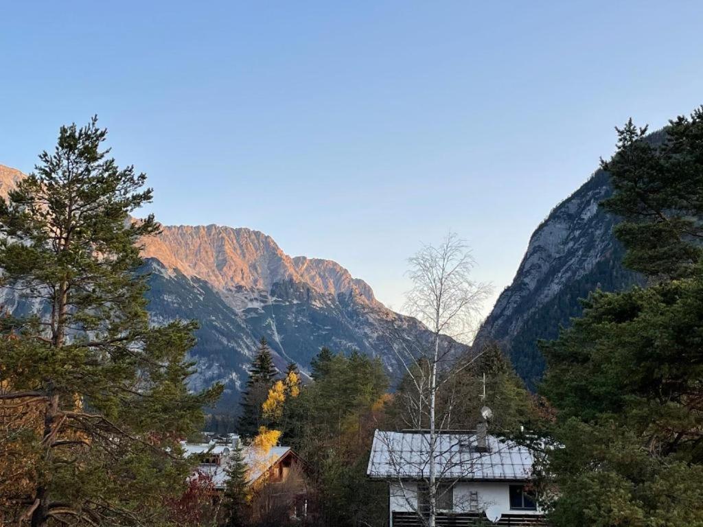 Andys Adlerblick