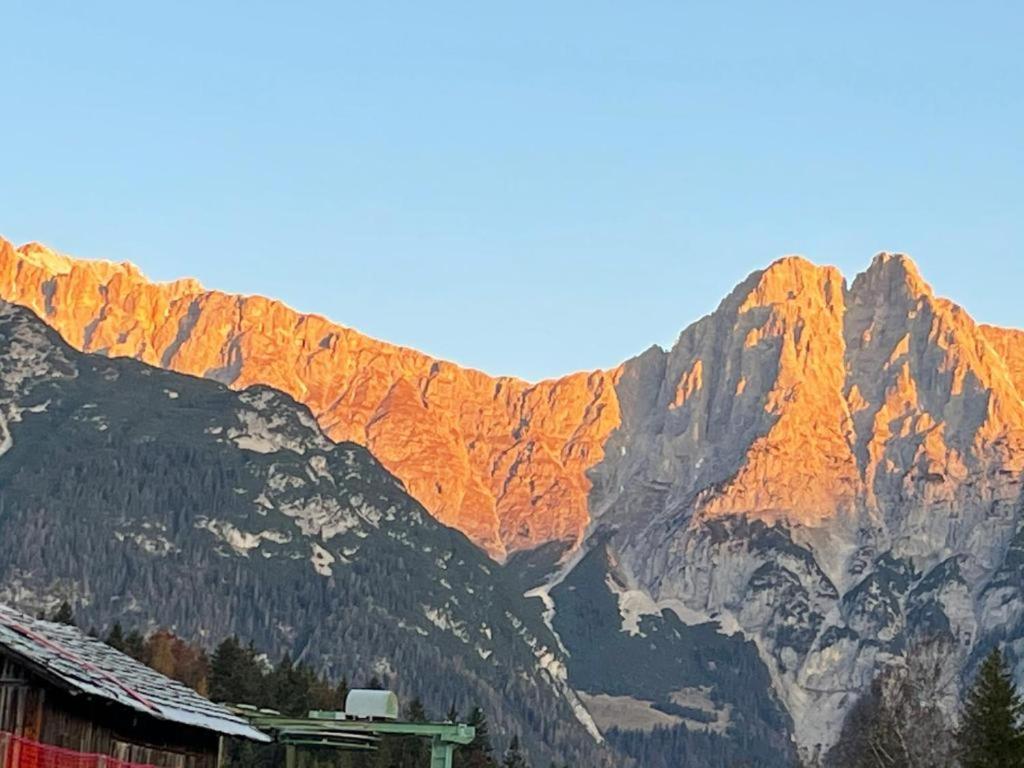 Andys Adlerblick