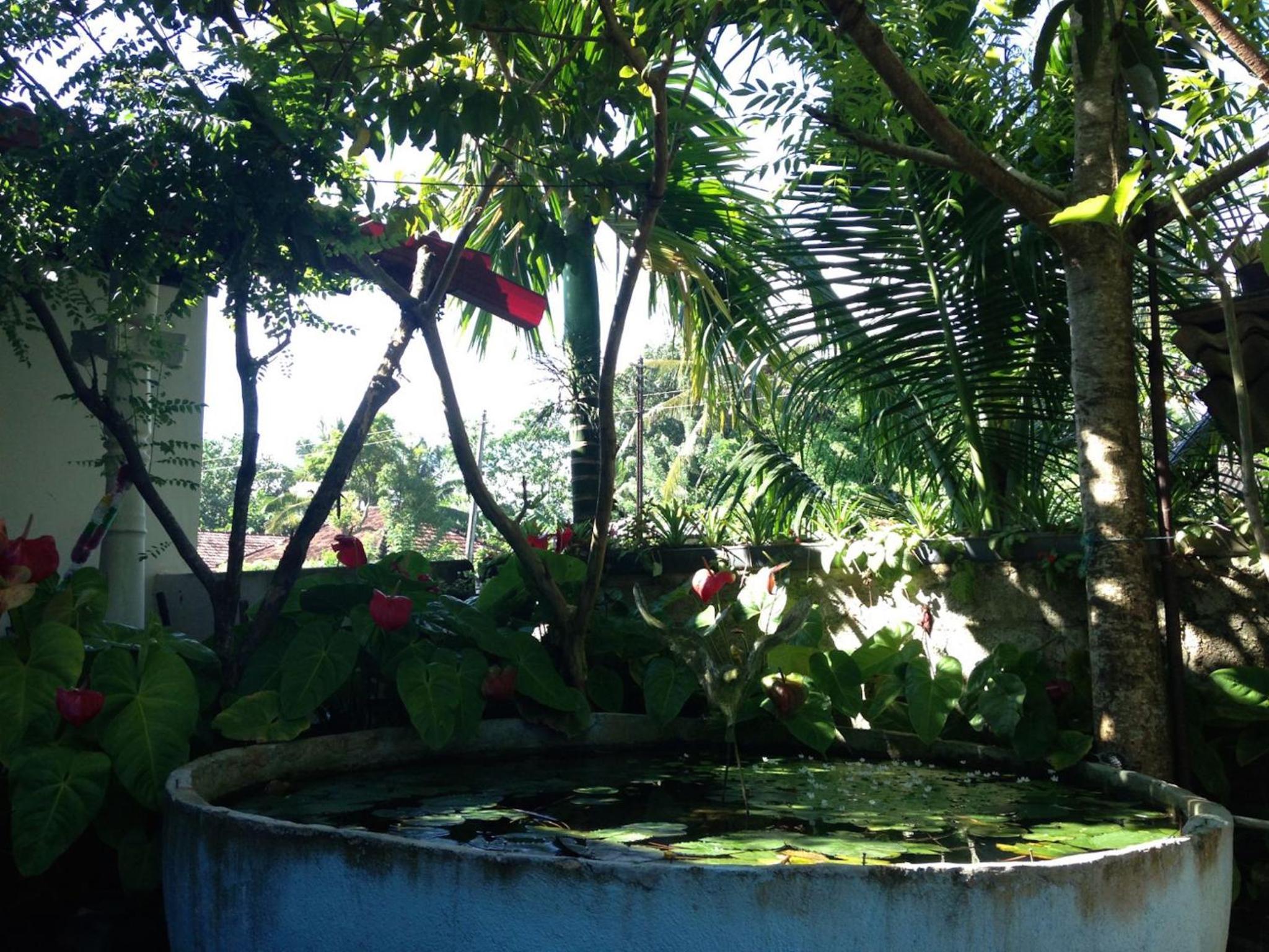 Photo 48