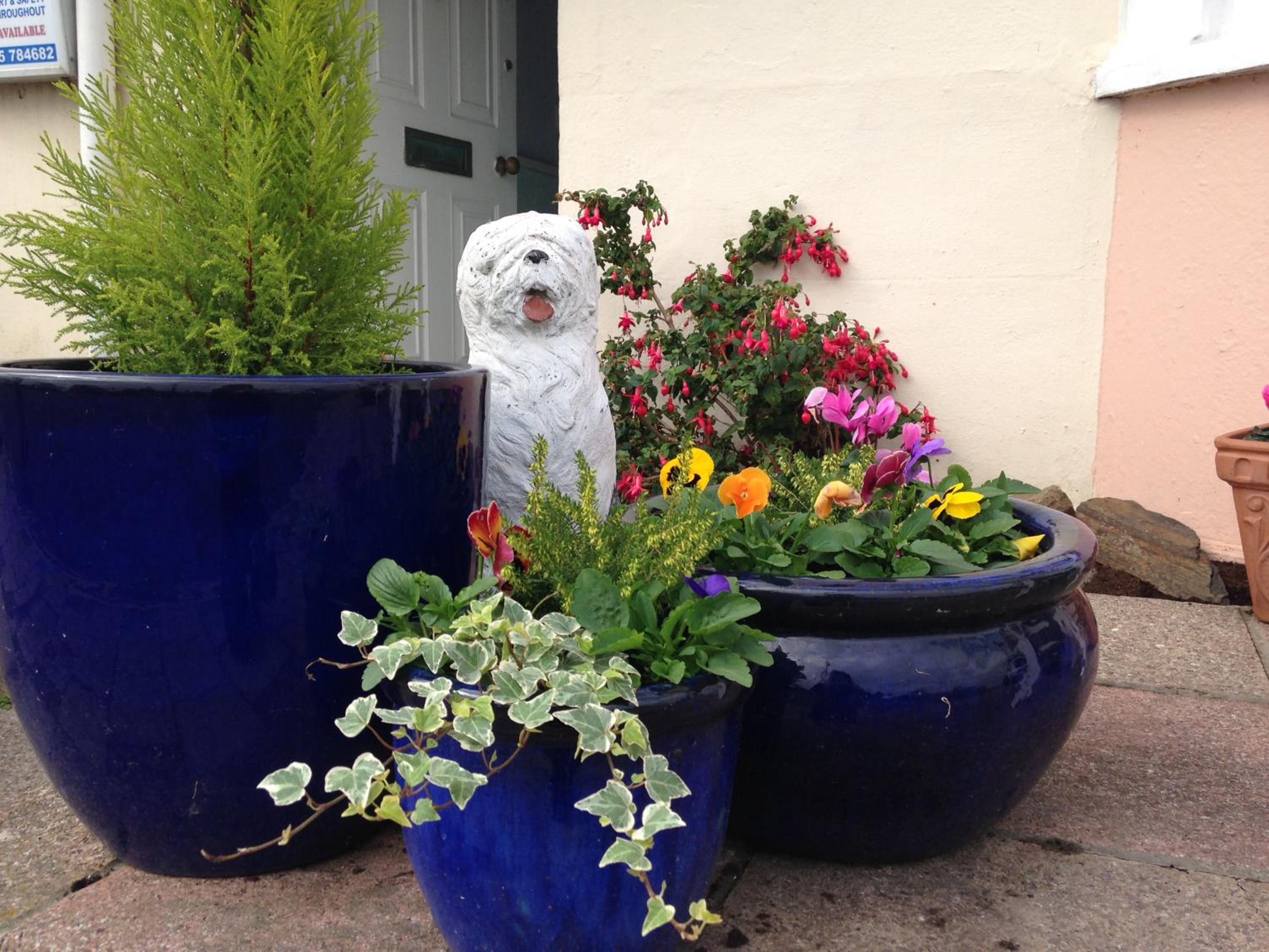 Photo 21