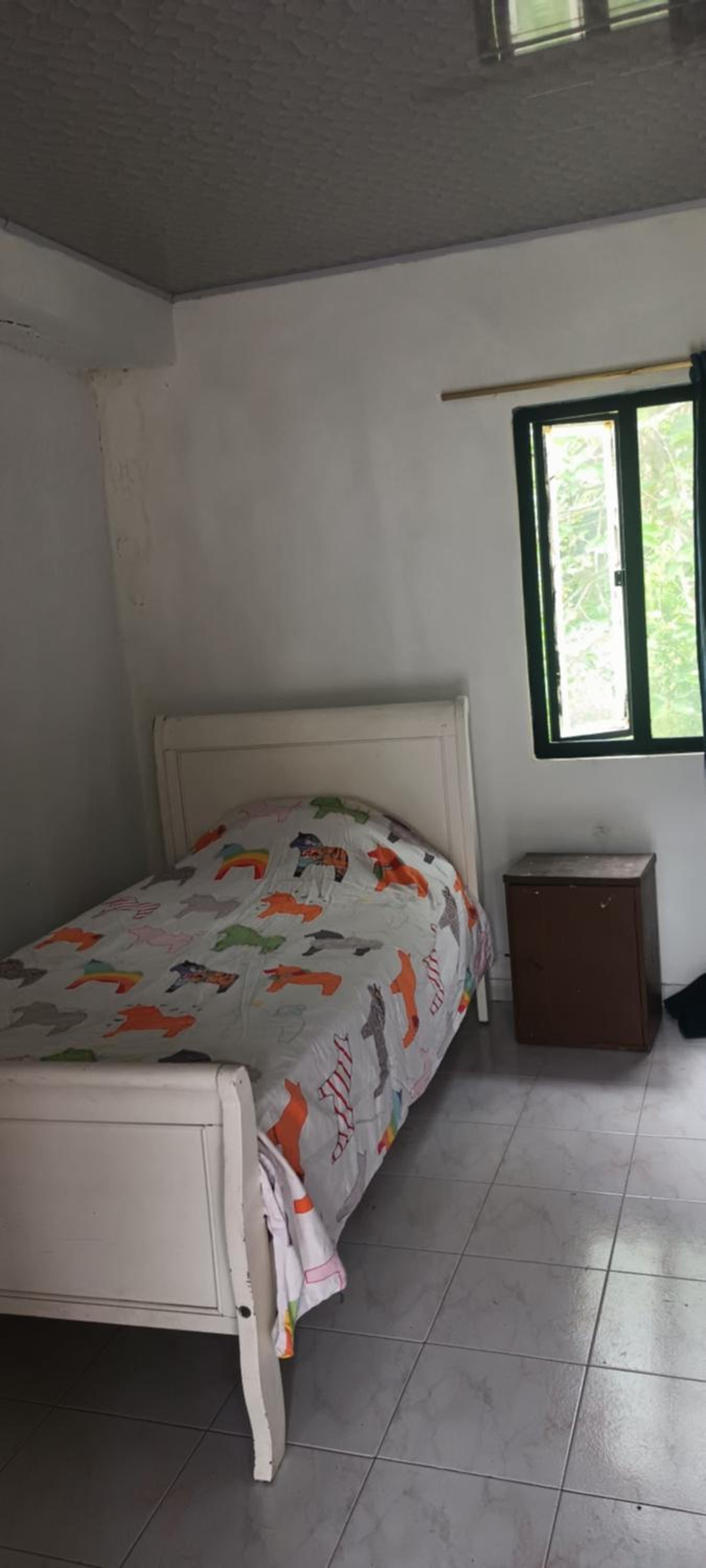 Skale Peregrino, photo 51