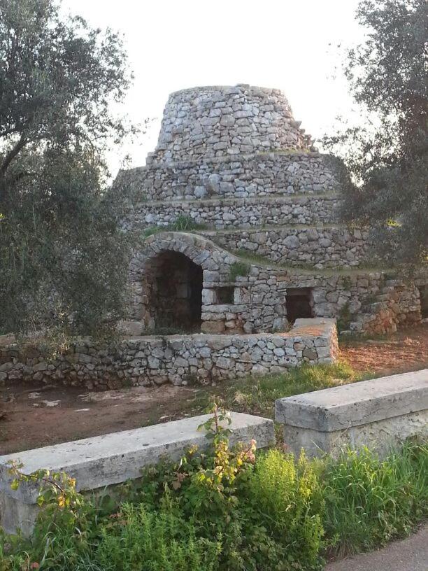 Contrada Borgin
