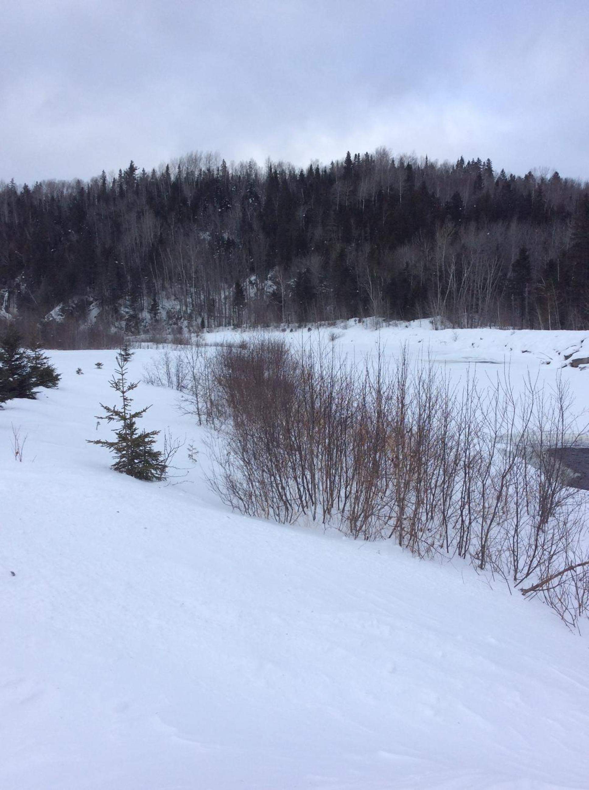 Photo 21