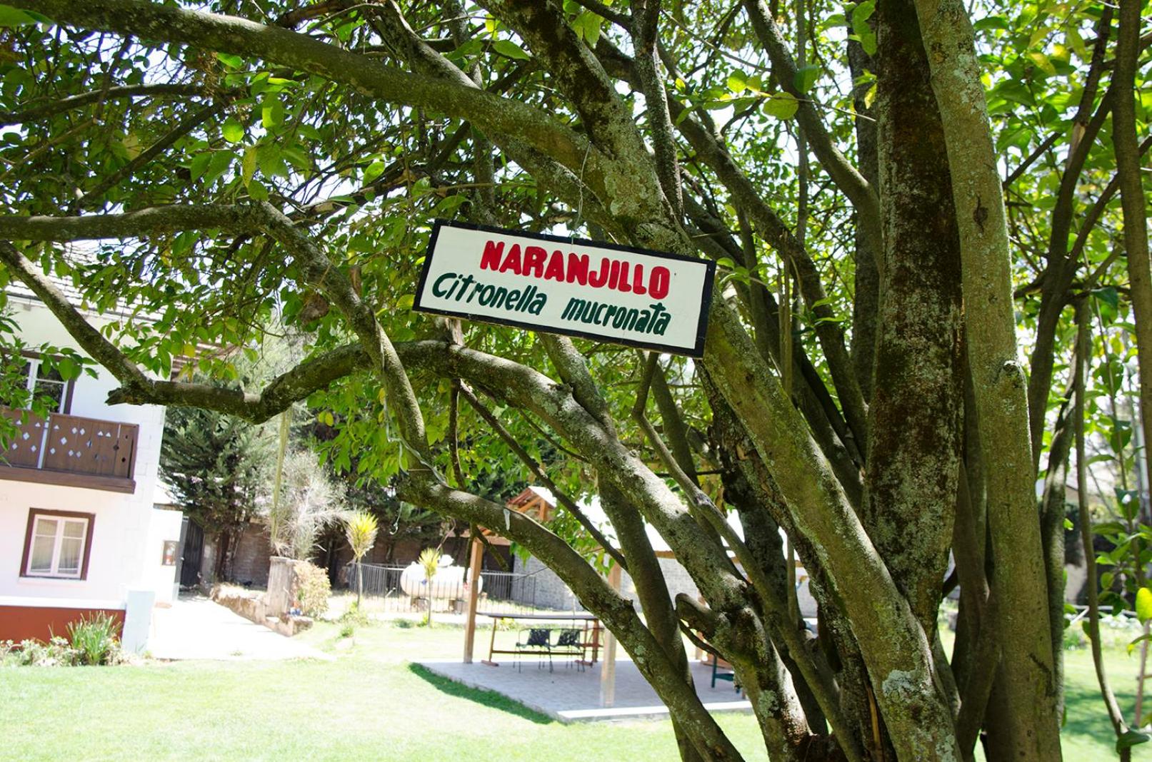Centro Vacacional Huaychulo