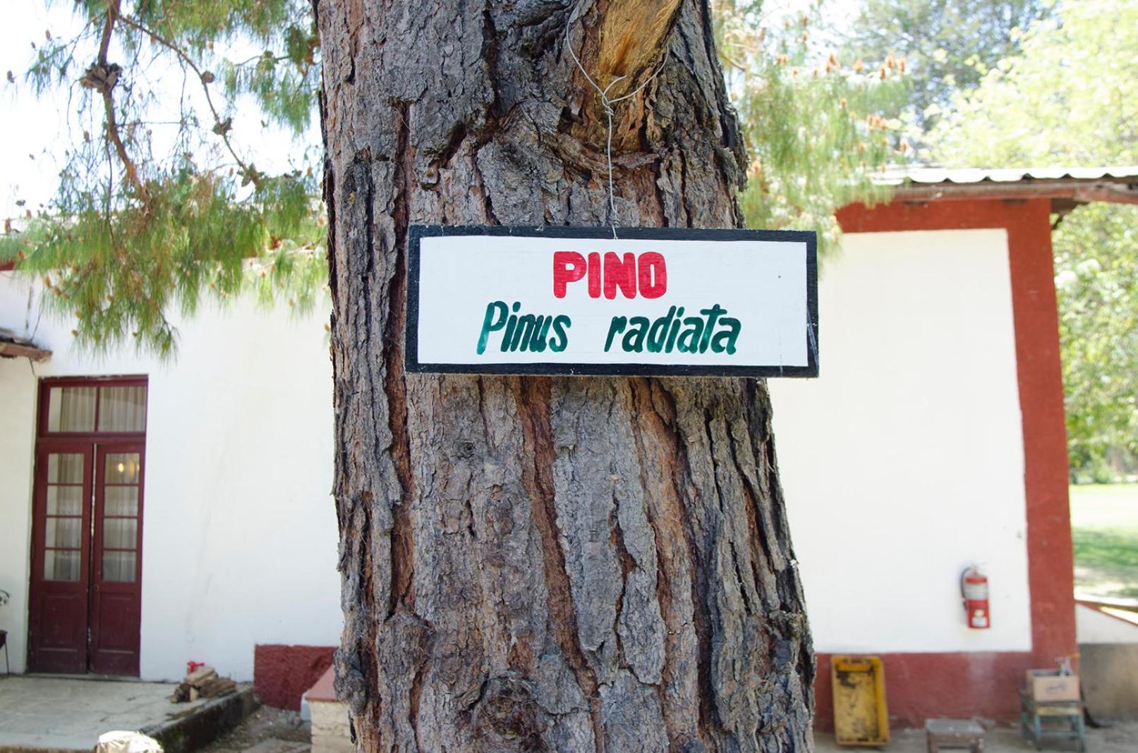 Centro Vacacional Huaychulo