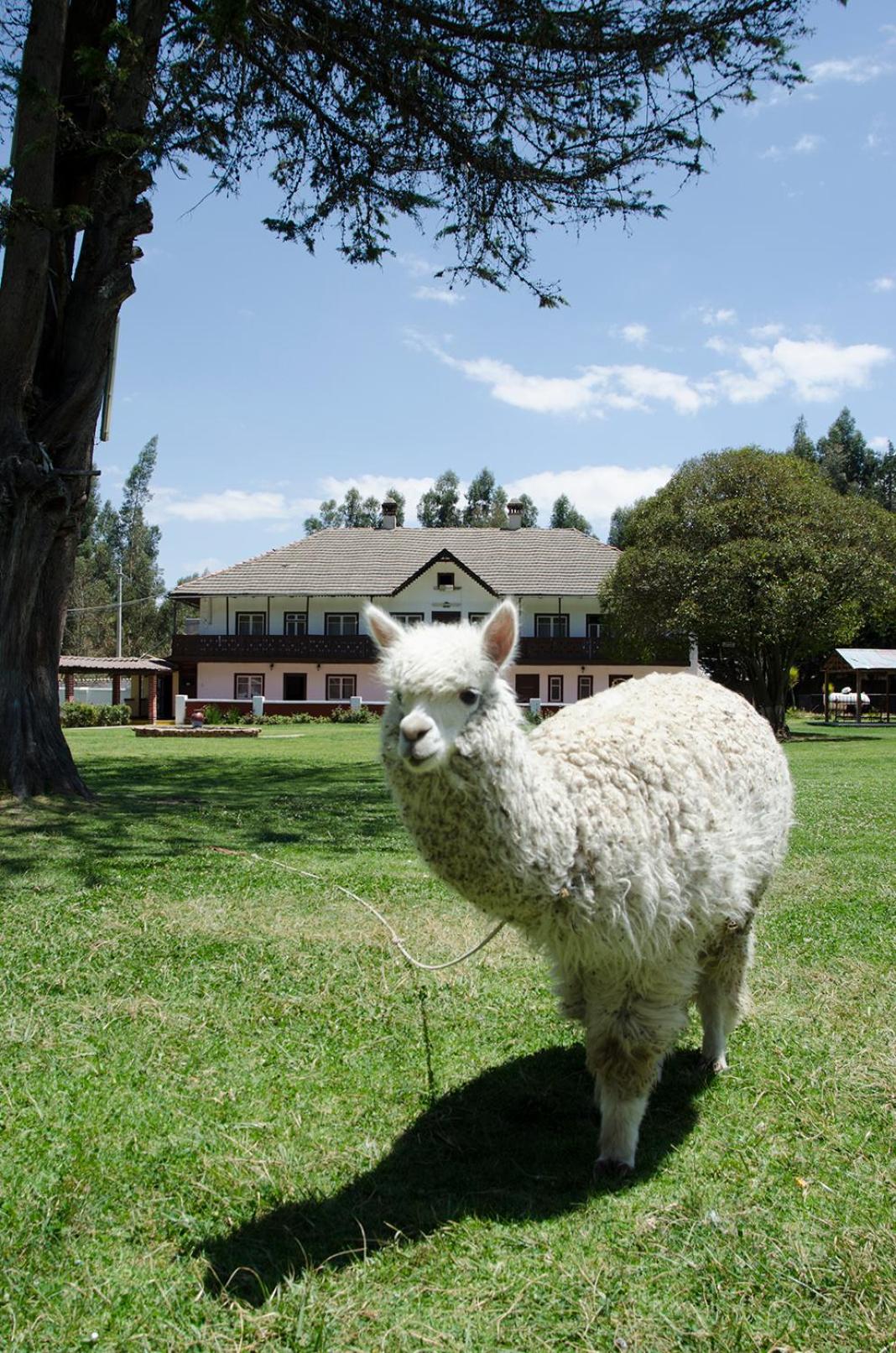 Centro Vacacional Huaychulo