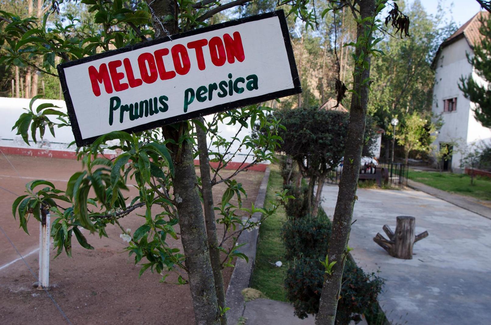 Centro Vacacional Huaychulo