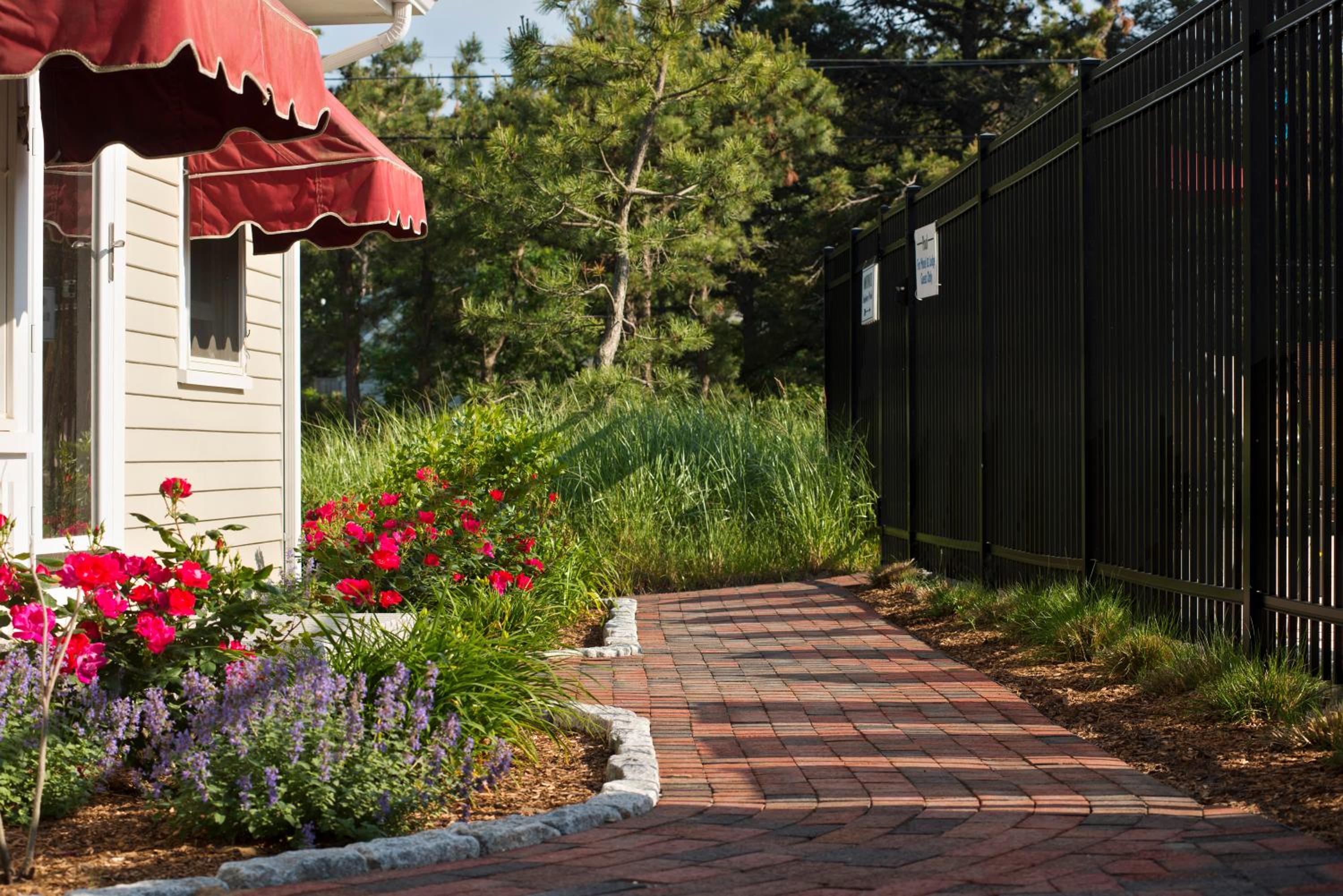 Wellfleet Motel & Lodge