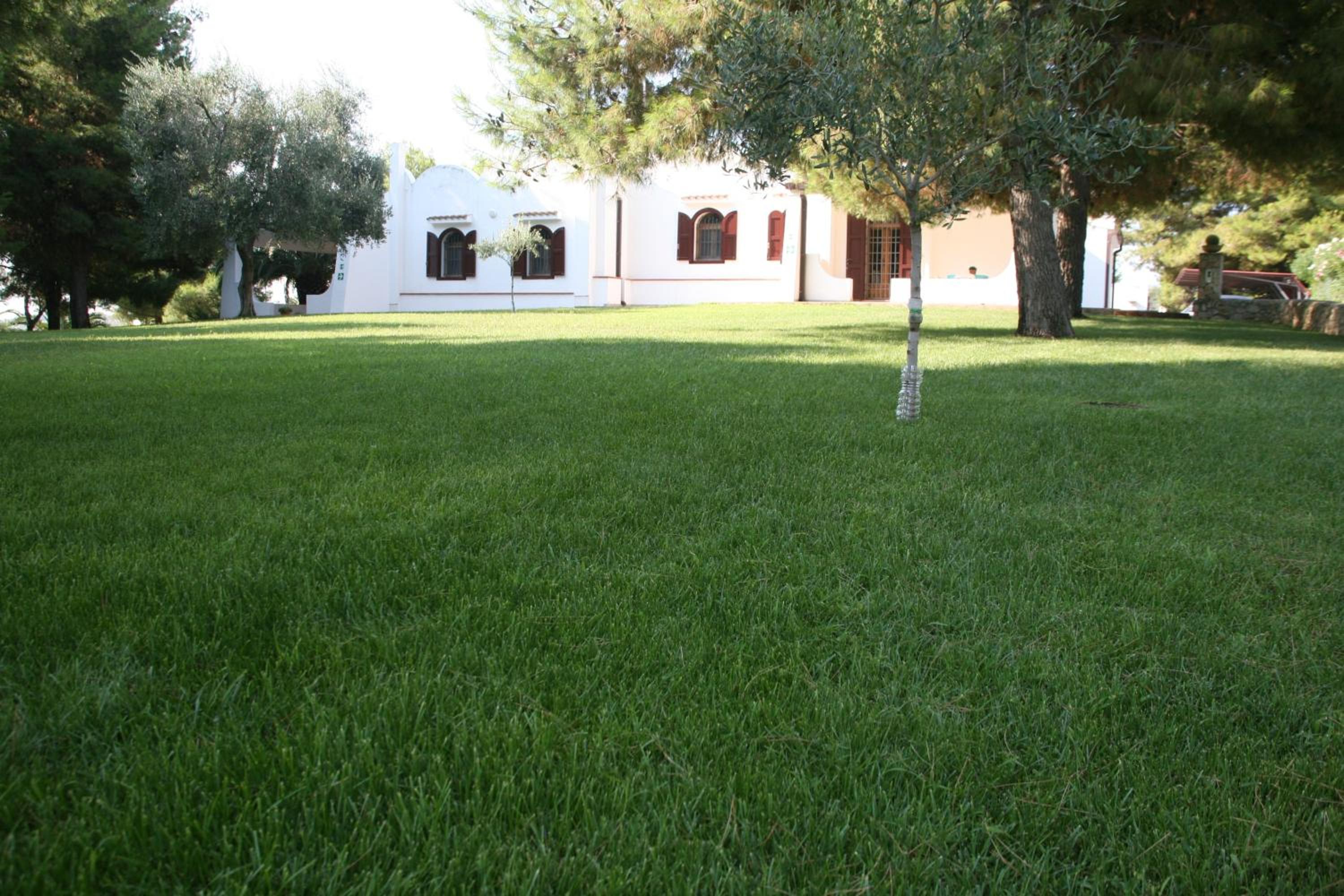 Photo 36